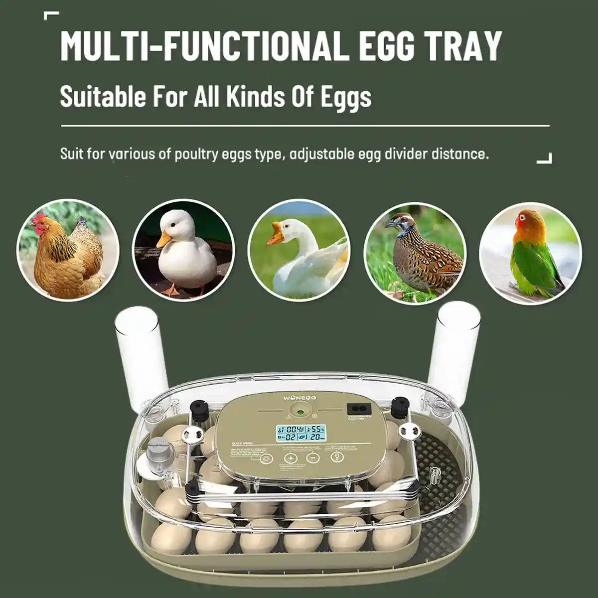 24 Egg Incubator Auto Turn Humidity Display Water Refill