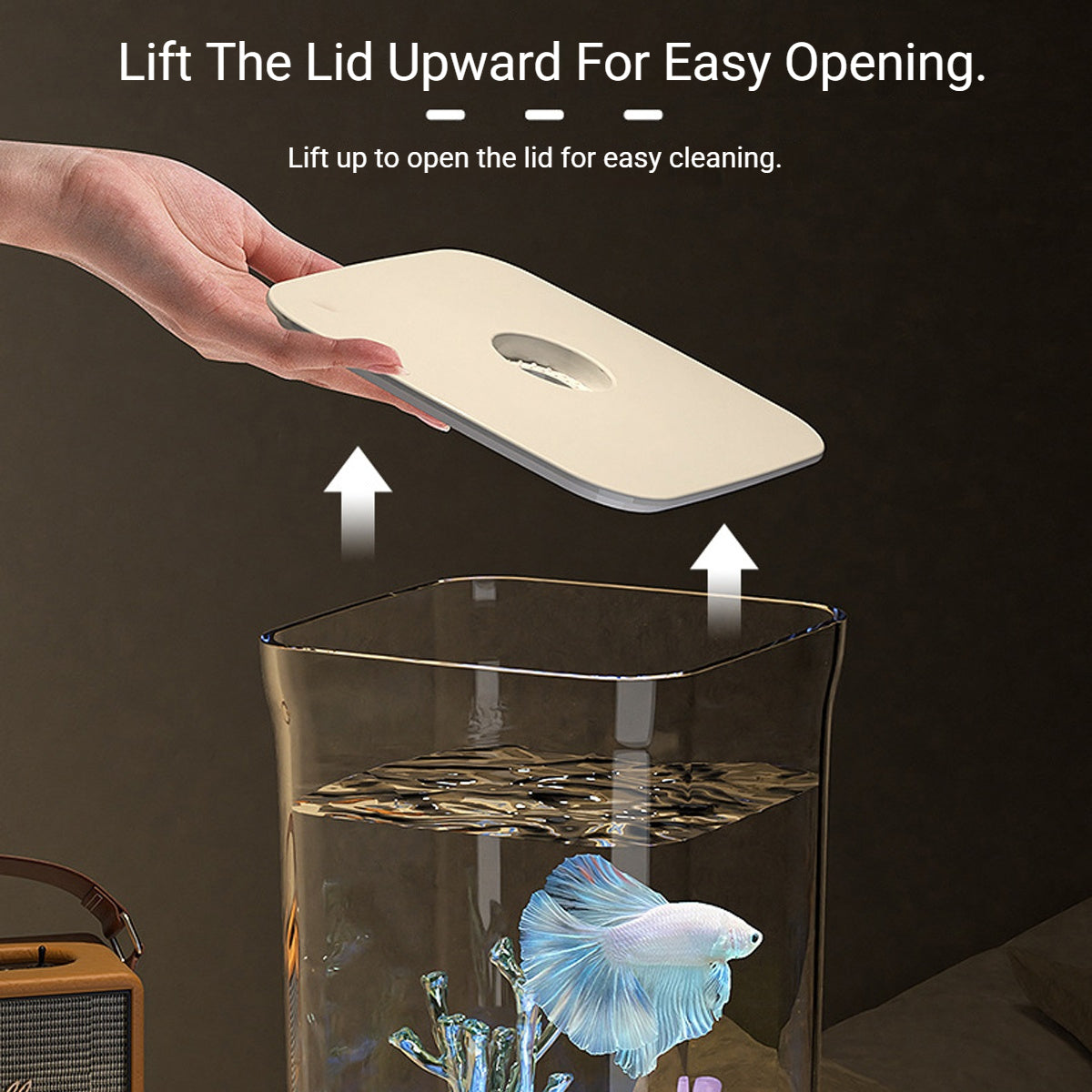 Desktop Fish Tank With LED Light