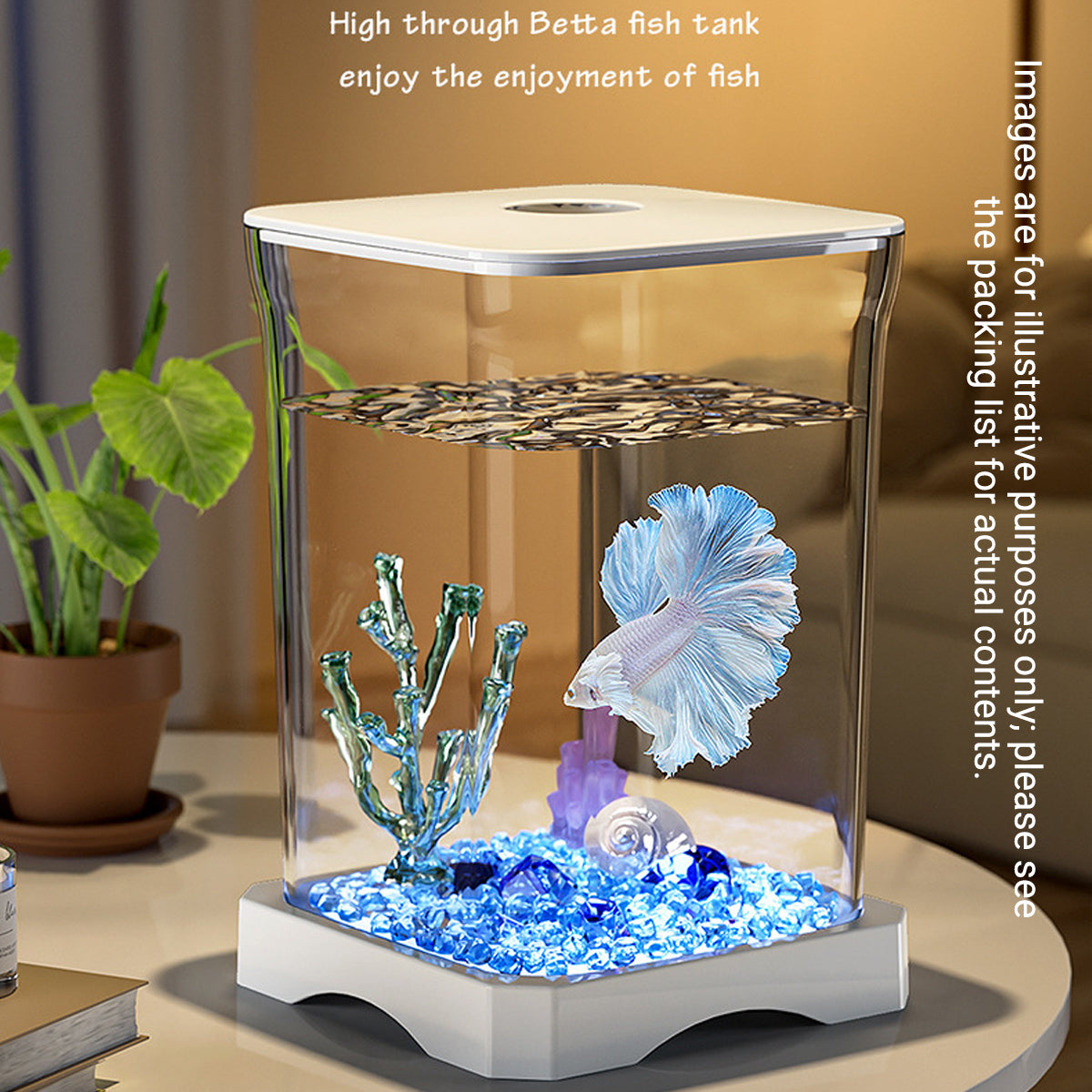 Desktop Fish Tank With LED Light
