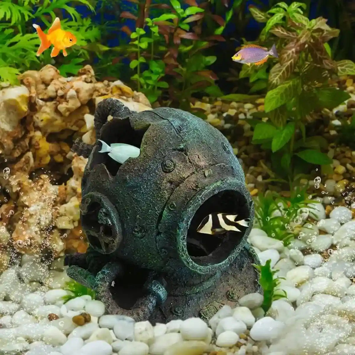 Aquarium Ornament for Freshwater & Saltwater Tanks