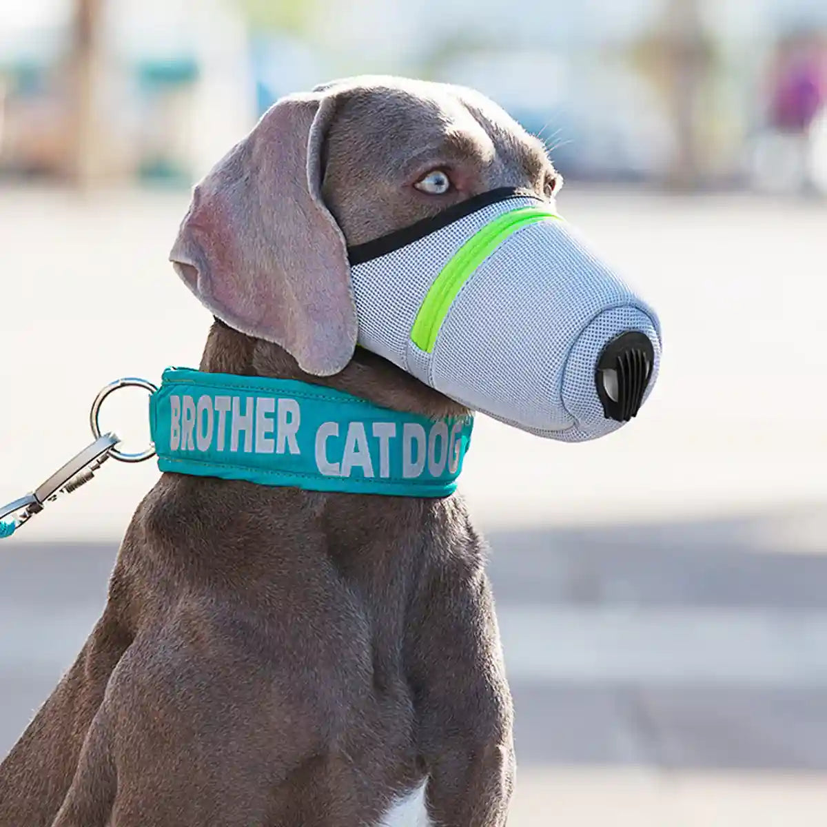 Dog Mask Breathable Adjustable Air Filter Muzzle for Pets