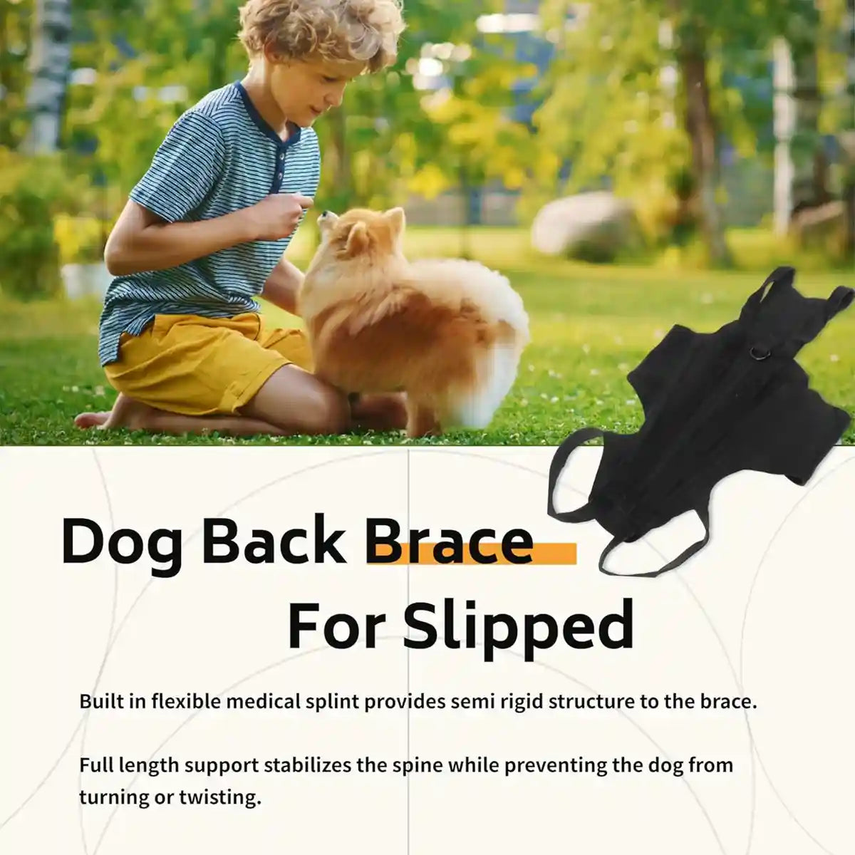 Dog Back Support Brace Full-Length Spinal Support Vest