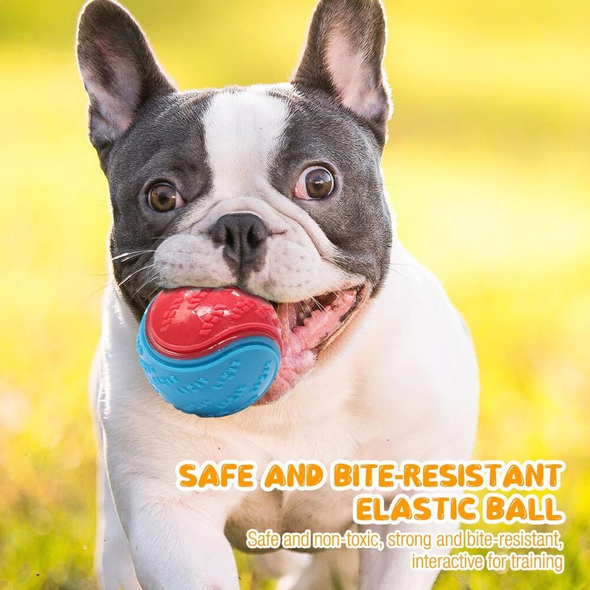 4-Pack Textured Dog Chew Balls