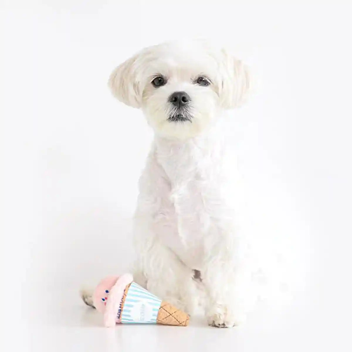 Ice Cream Cone Dog Chew Toy Plush With Squeaker