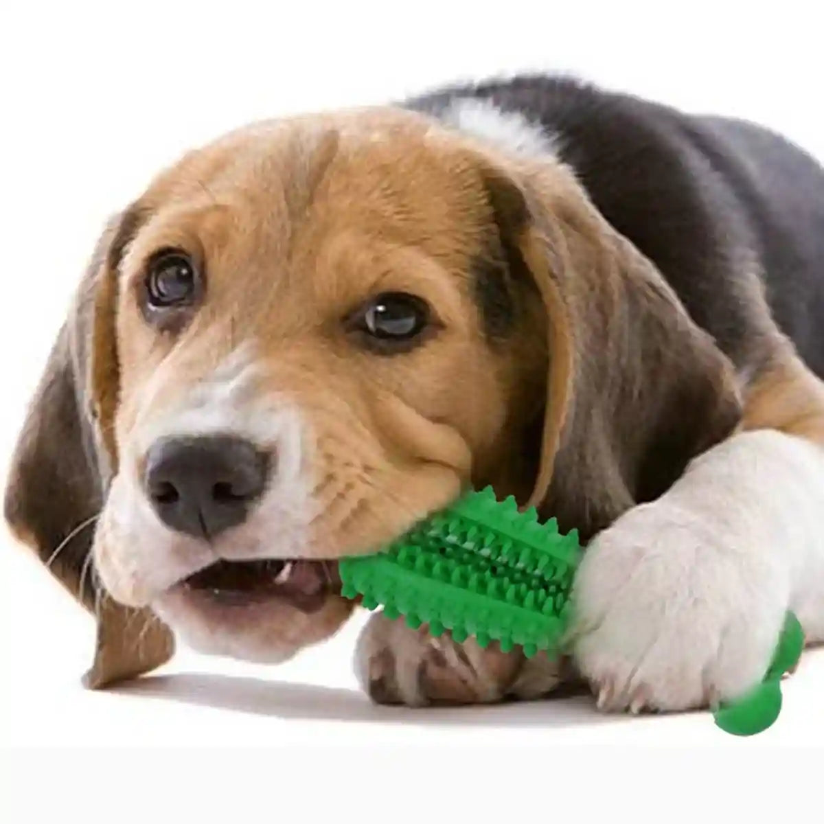 Durable Dog Chew Toy Dental Teething Treat Dispenser For Anxiety Relief