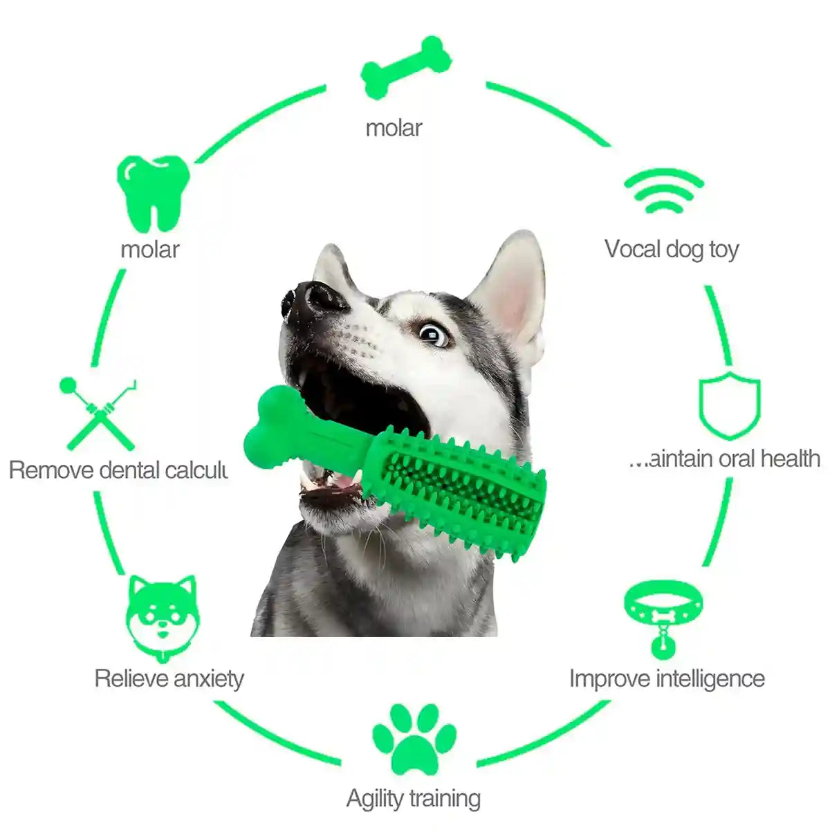 Durable Dog Chew Toy Dental Teething Treat Dispenser For Anxiety Relief