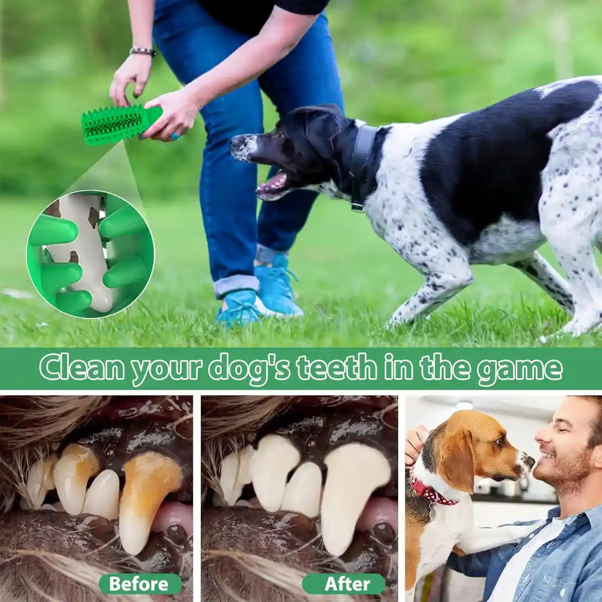 Durable Dog Chew Toy Dental Teething Treat Dispenser For Anxiety Relief