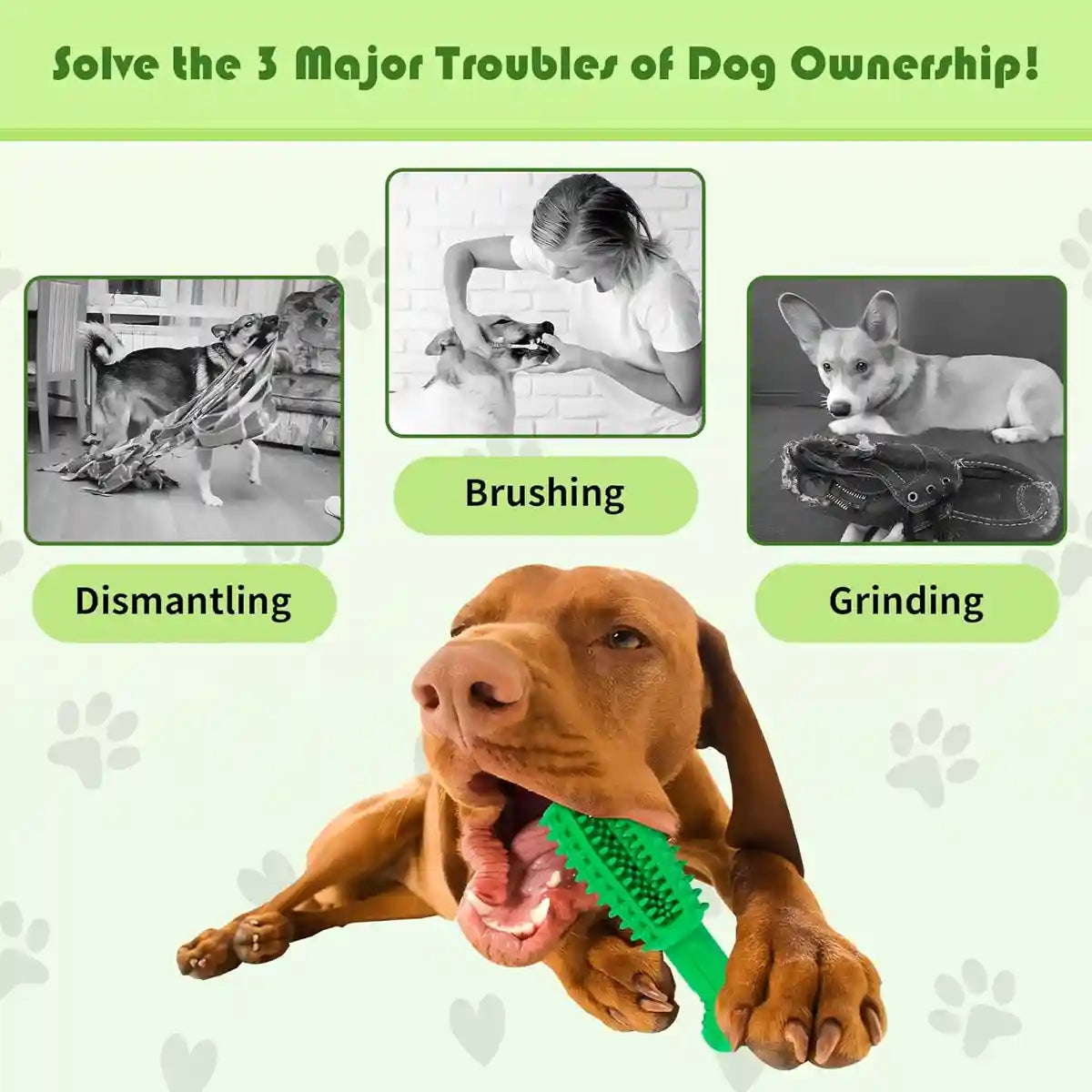 Durable Dog Chew Toy Dental Teething Treat Dispenser For Anxiety Relief