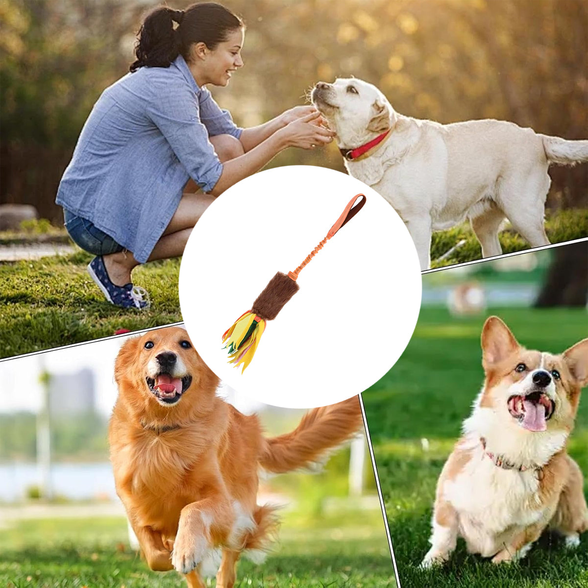 Interactive Dog Chew Toy With Rope And Tassel