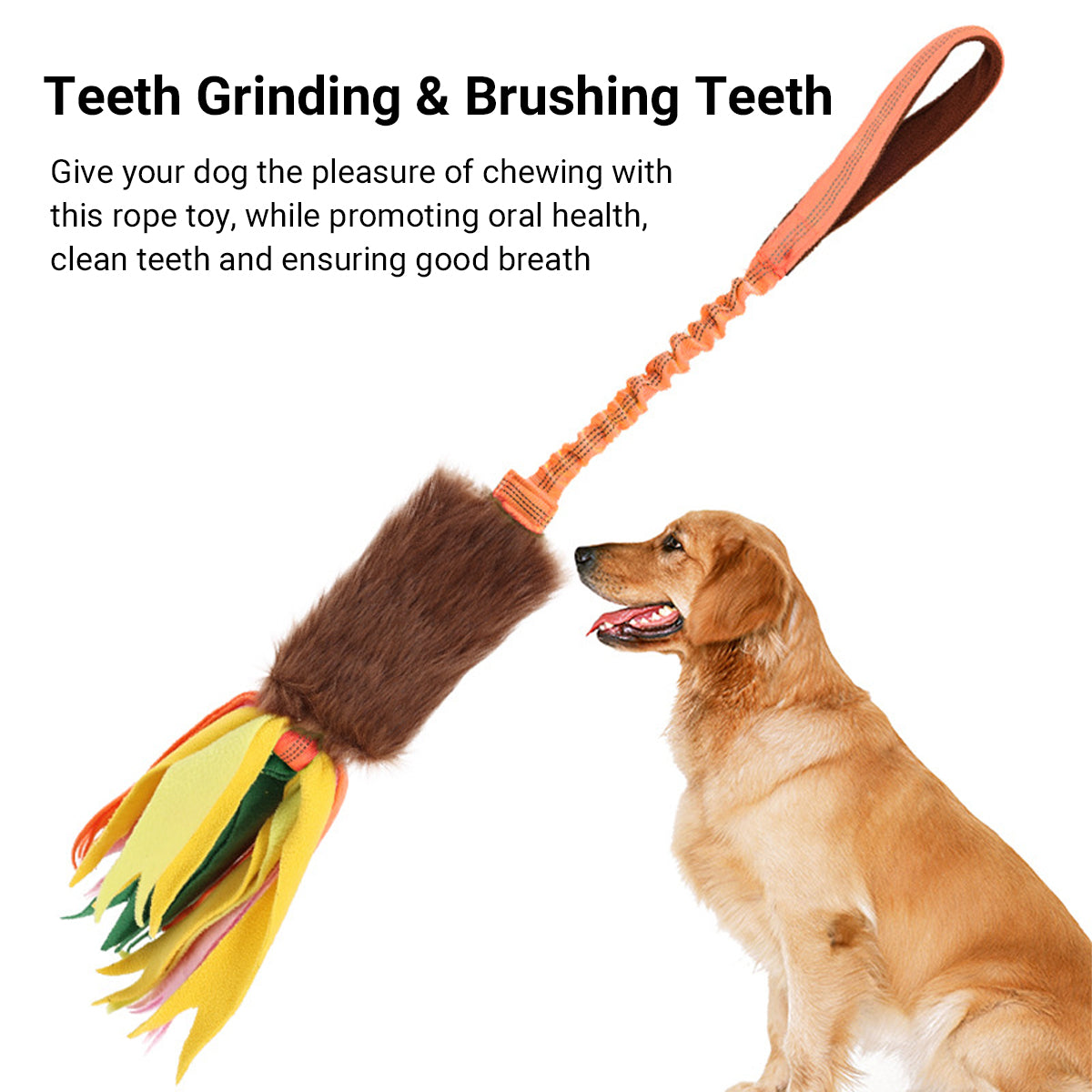 Interactive Dog Chew Toy With Rope And Tassel