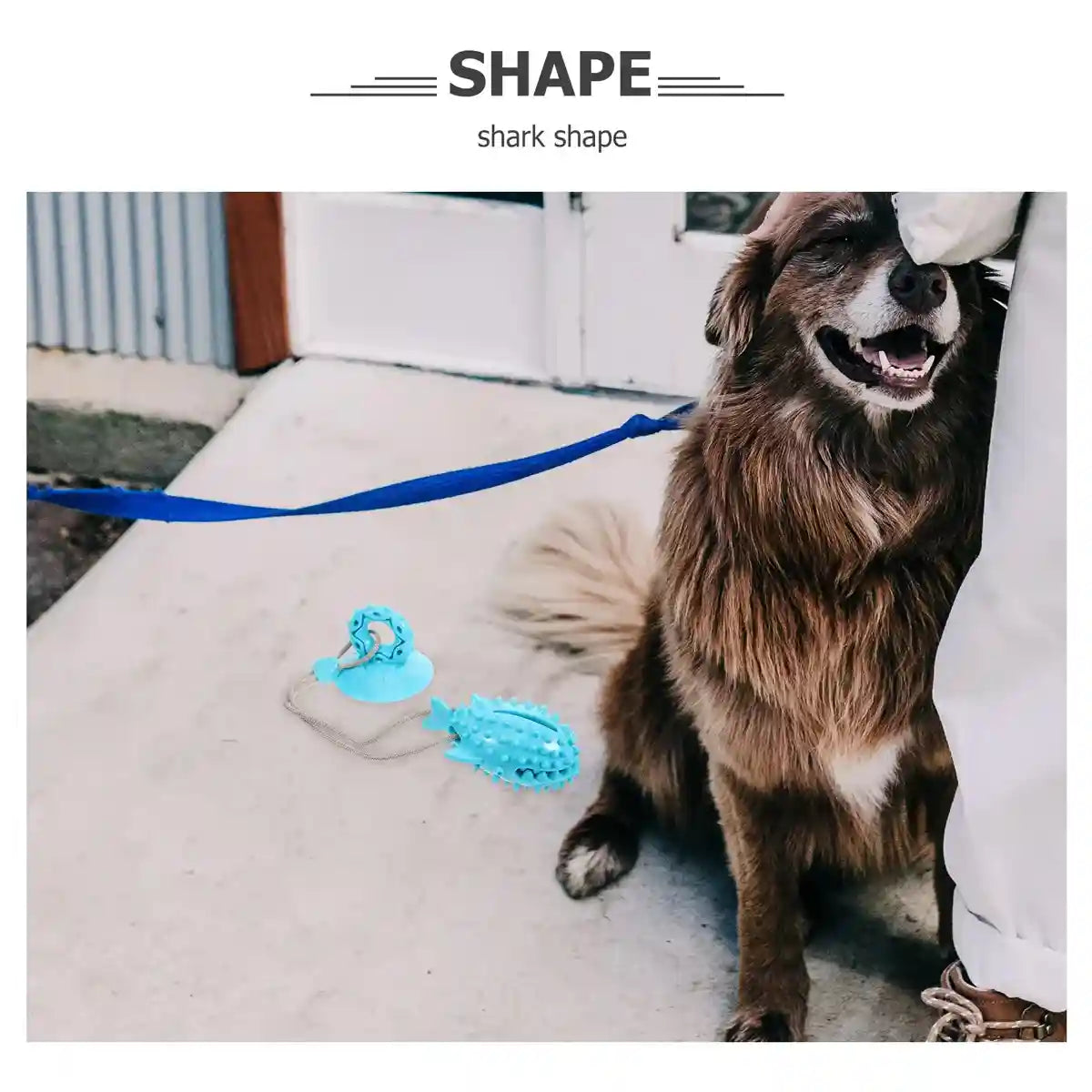 Suction Cup Tug Toy for Dogs