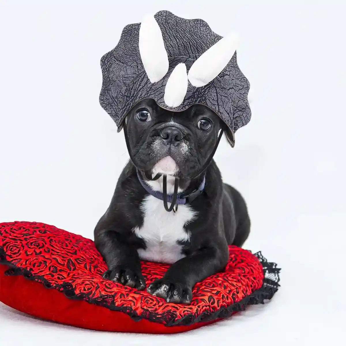 Triceratops Dog Costume Hat
