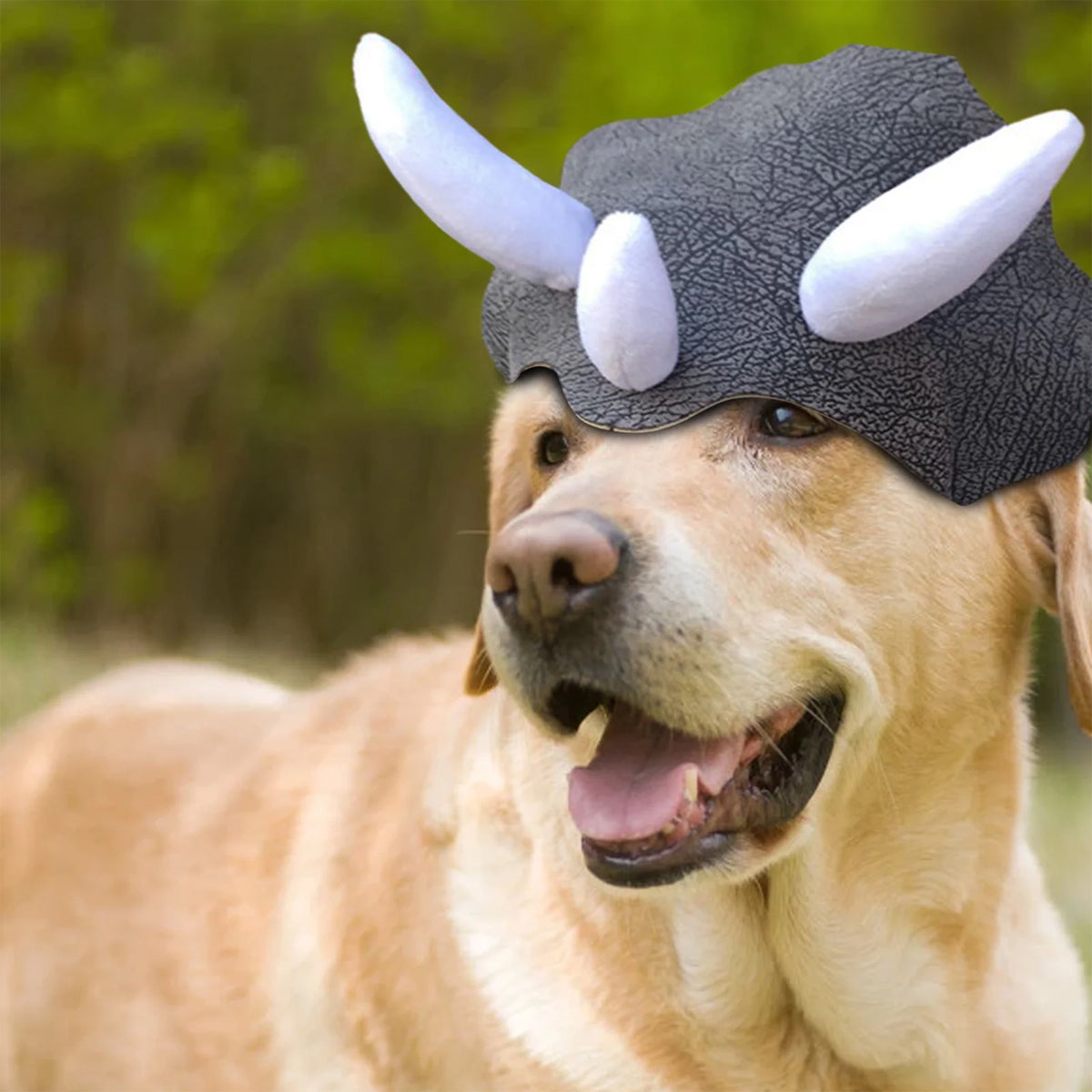 Triceratops Dog Costume Hat