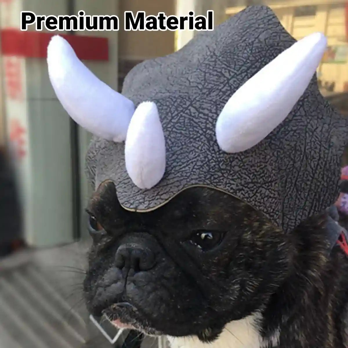 Triceratops Dog Costume Hat