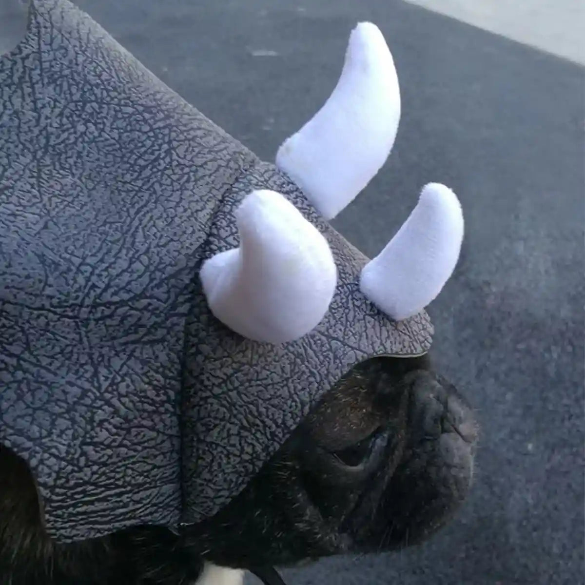 Triceratops Dog Costume Hat