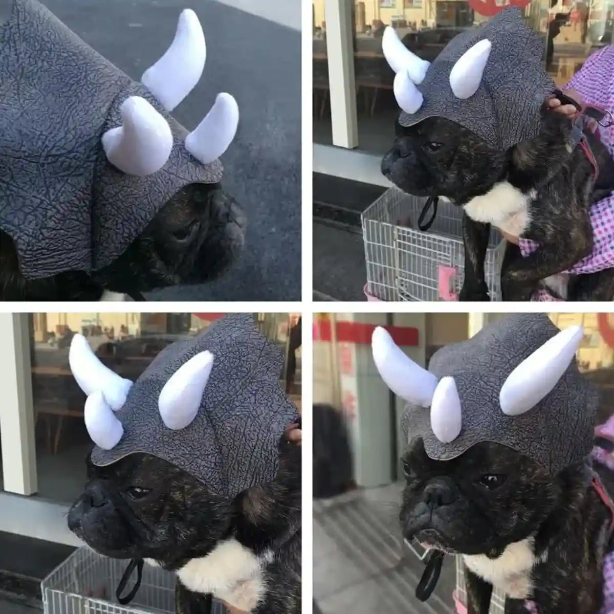 Triceratops Dog Costume Hat