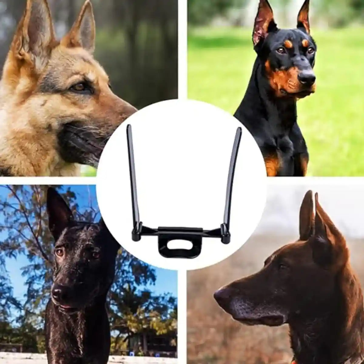 Dog Ear Support Stand Upright Ear Training Kit With Tape