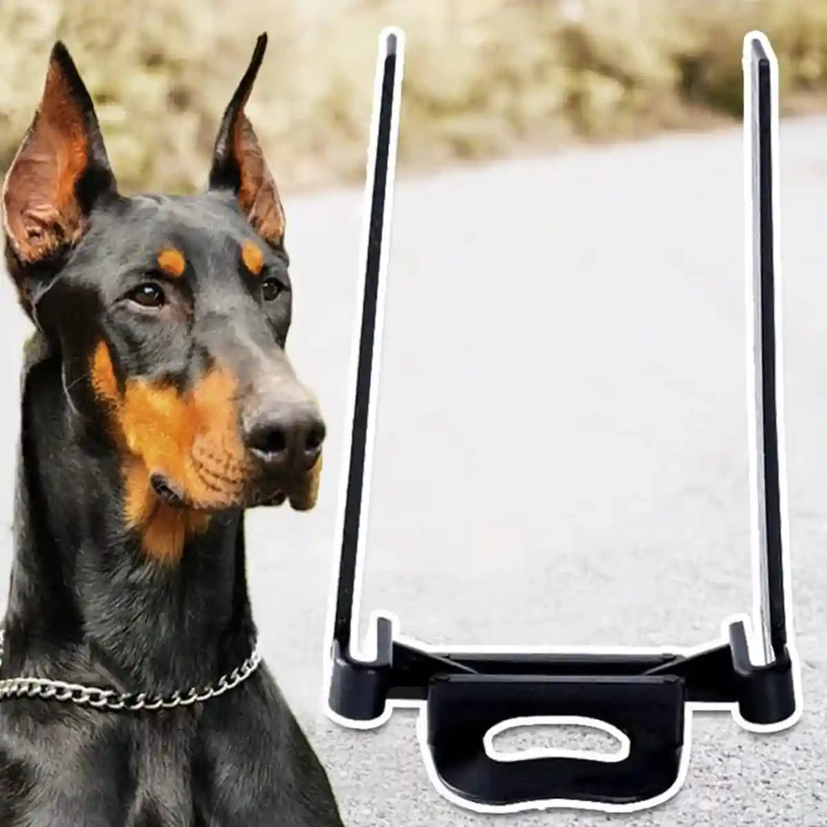 Dog Ear Support Stand Upright Ear Training Kit With Tape