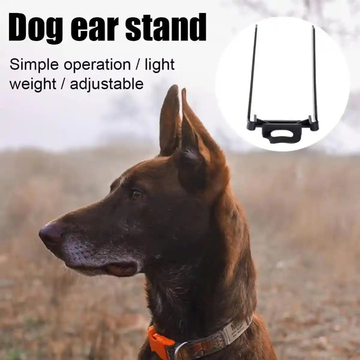 Dog Ear Support Stand Upright Ear Training Kit With Tape