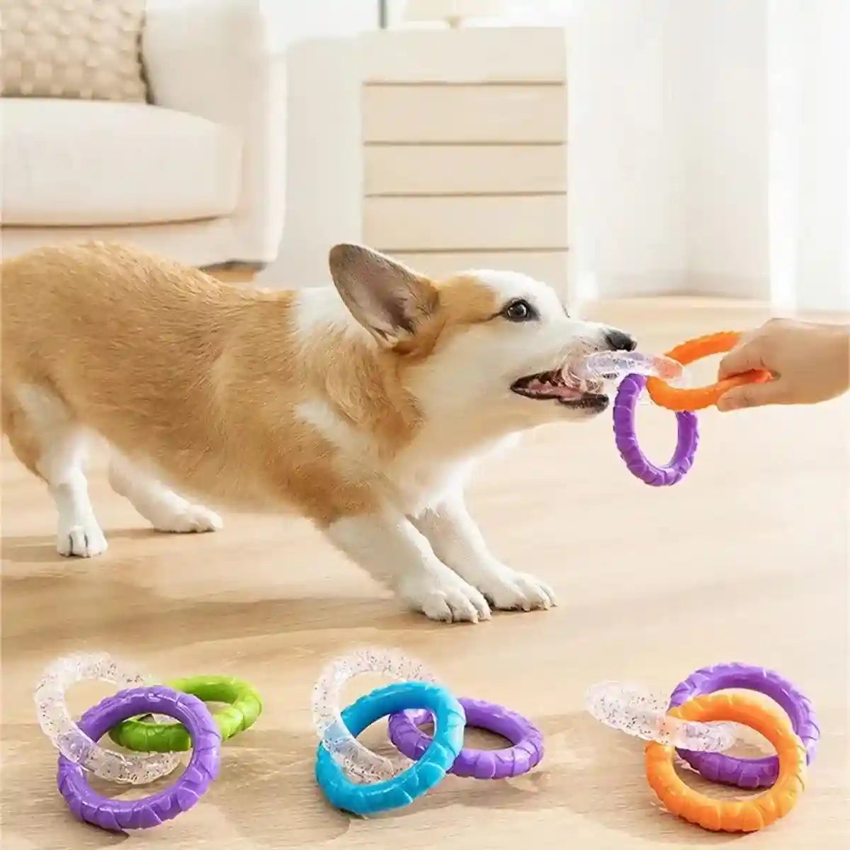 Durable TPR Interactive Dog Chew Toy Fun & Safe for Dogs