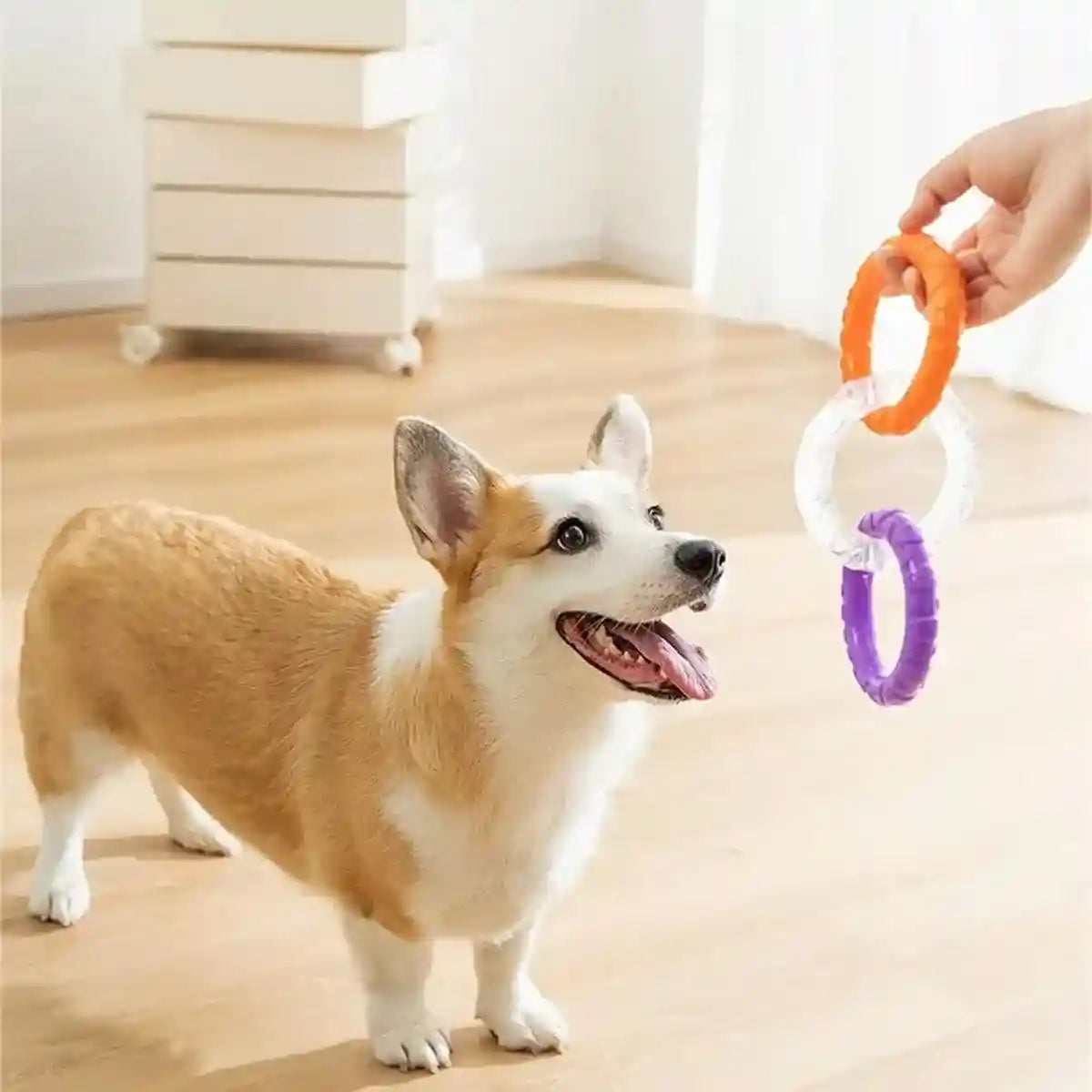 Durable TPR Interactive Dog Chew Toy Fun & Safe for Dogs