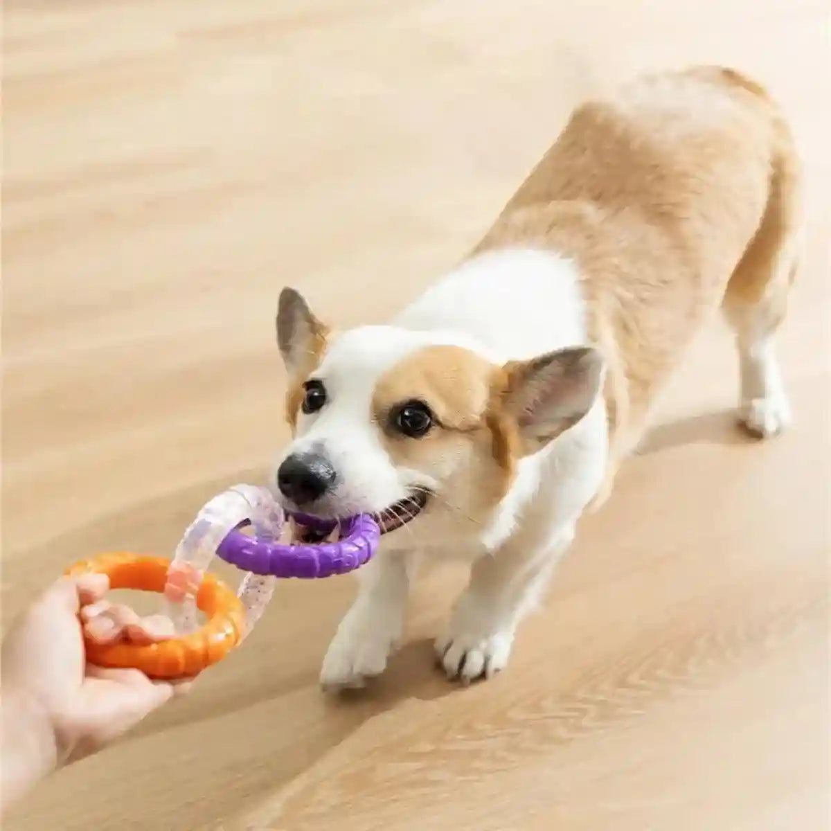 Durable TPR Interactive Dog Chew Toy Fun & Safe for Dogs