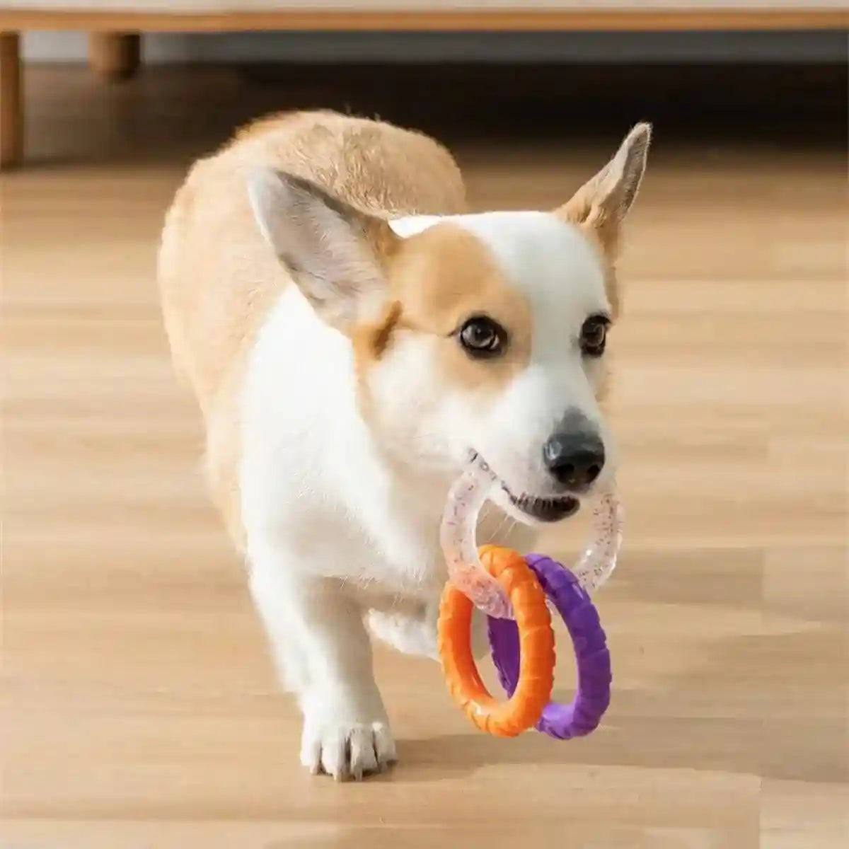 Durable TPR Interactive Dog Chew Toy Fun & Safe for Dogs