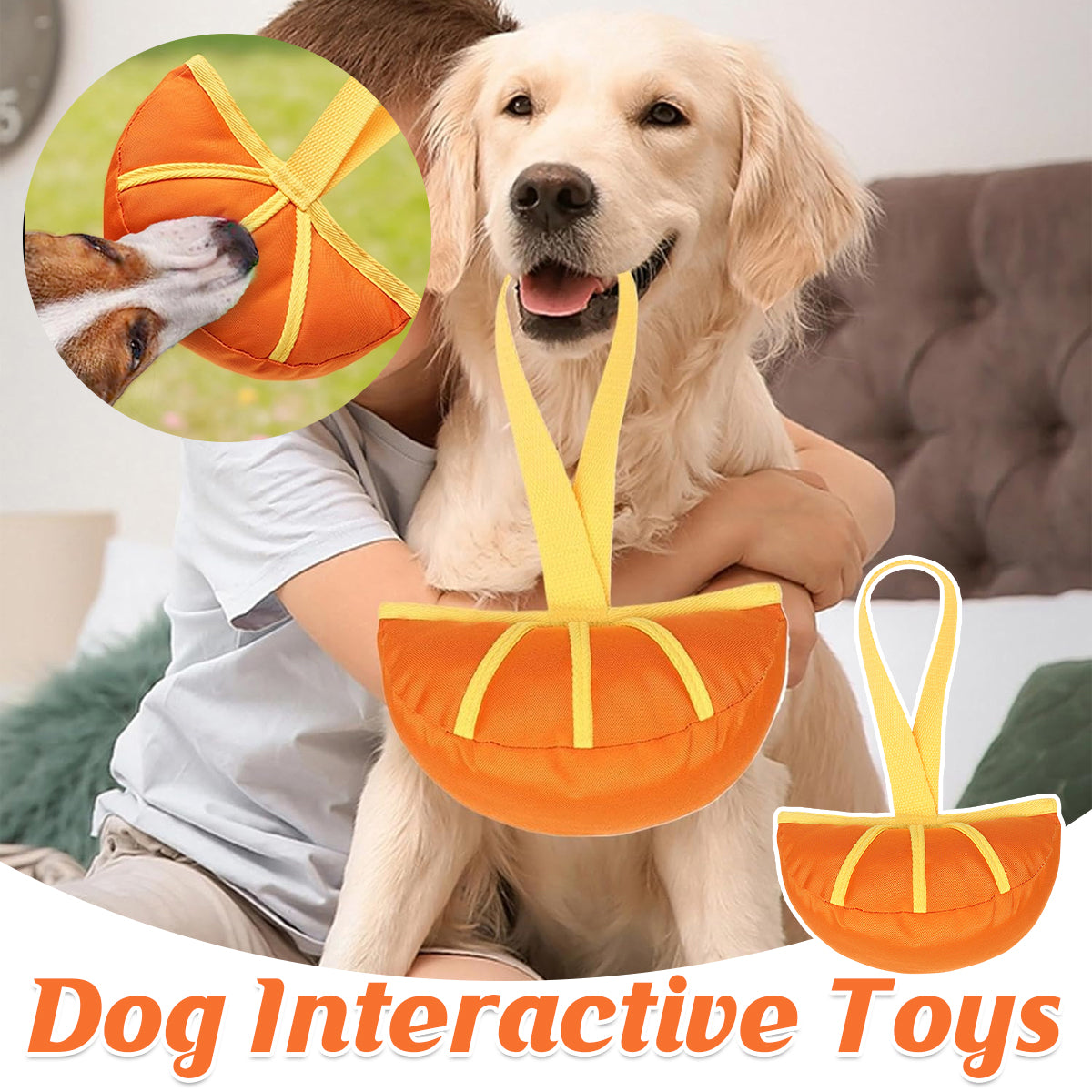 Dog Interactive Toy Durable Tug and Chew Toy