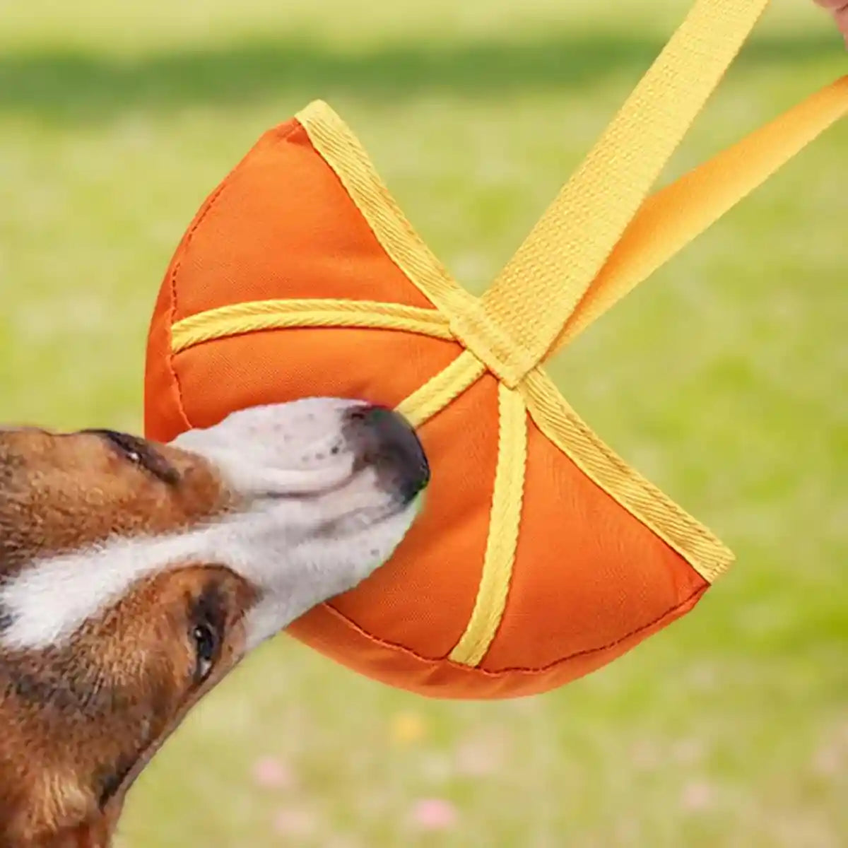 Dog Interactive Toy Durable Tug and Chew Toy