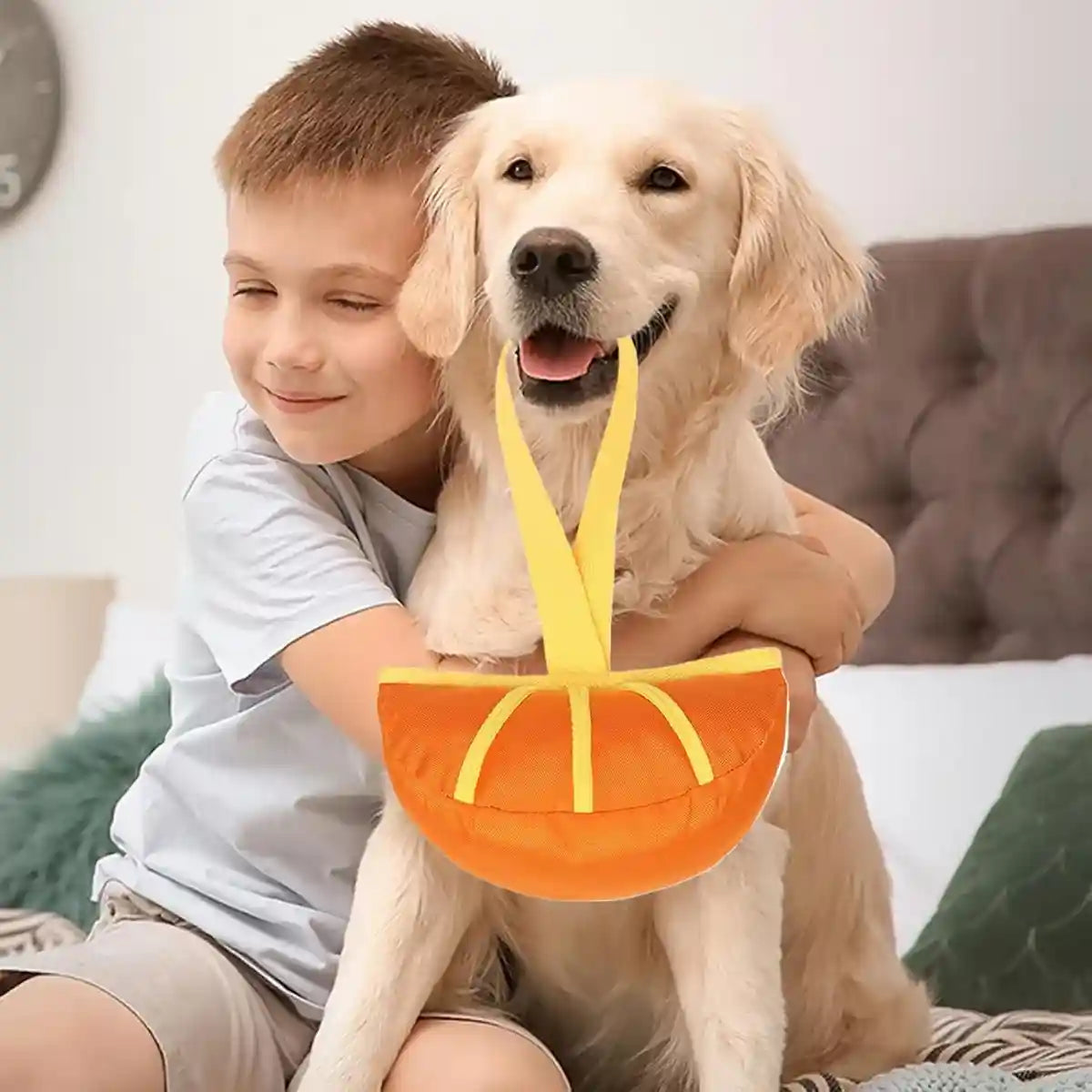 Dog Interactive Toy Durable Tug and Chew Toy