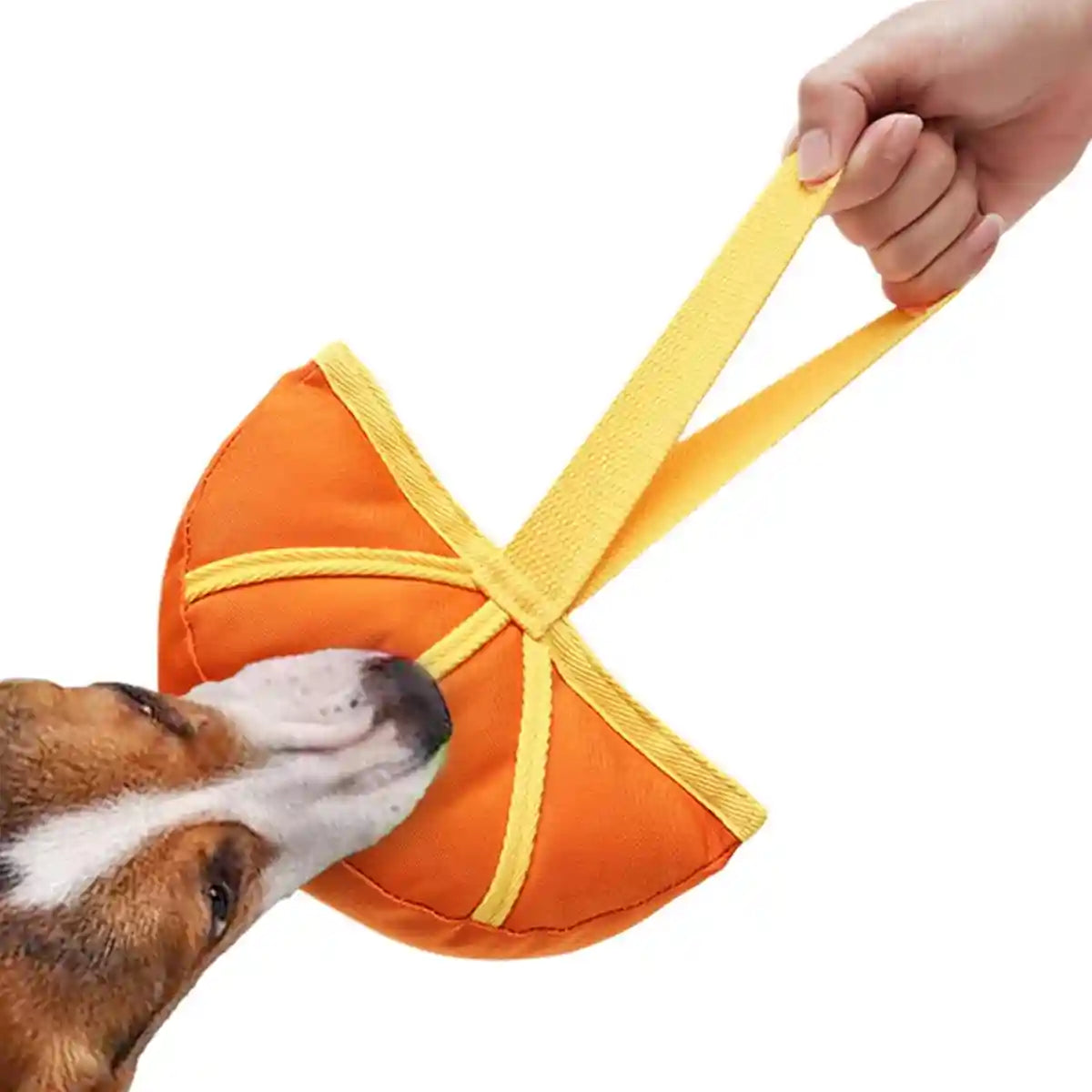 Dog Interactive Toy Durable Tug and Chew Toy