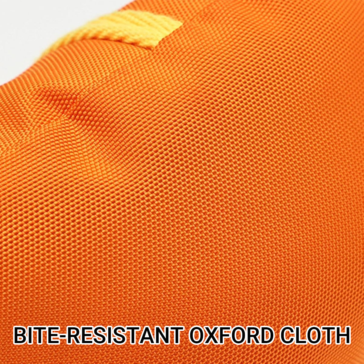 Dog Interactive Toy Durable Tug and Chew Toy