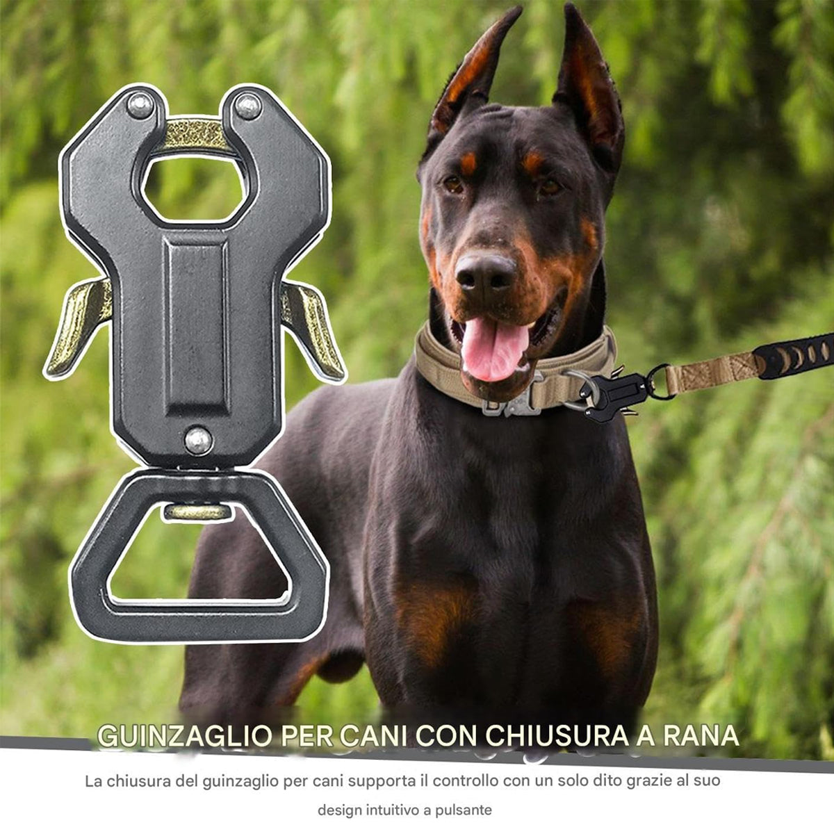 Dog Leash Frog Clasp Heavy Duty Quick Release Hook