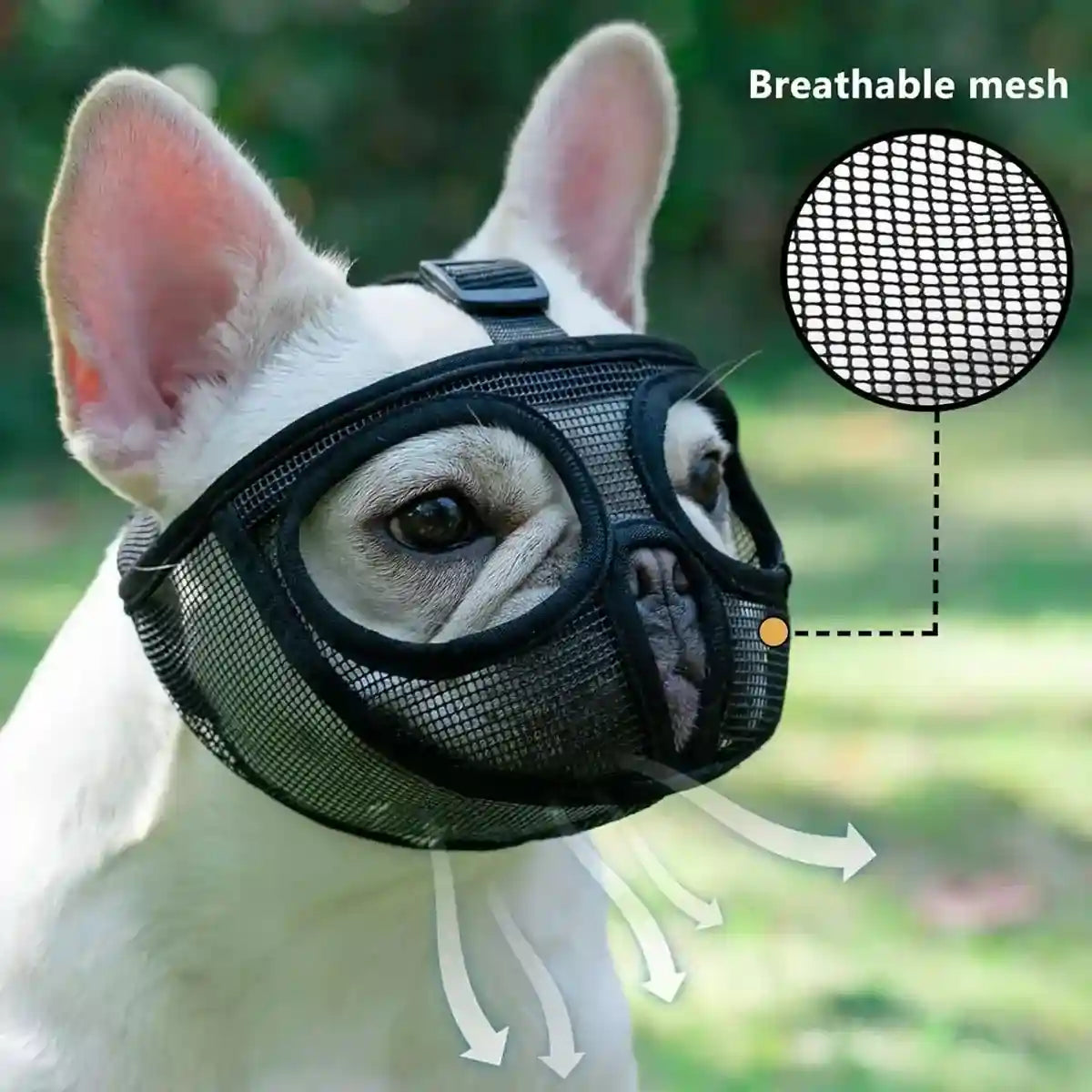 Mesh Dog Muzzle for Short-Mouthed Breeds – Breathable & Adjustable