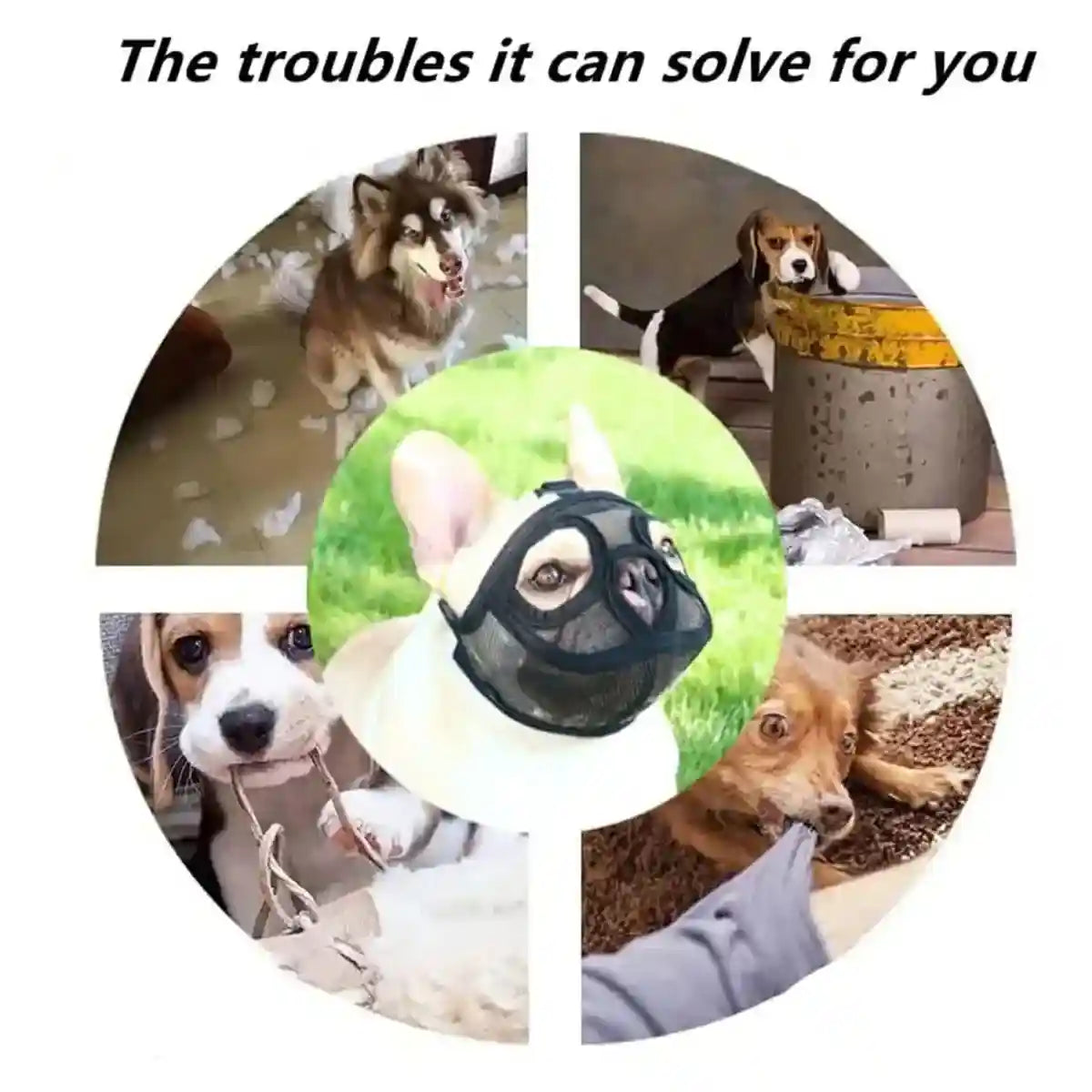 Mesh Dog Muzzle for Short-Mouthed Breeds – Breathable & Adjustable