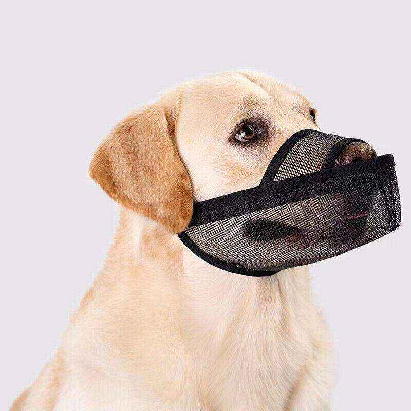 Nylon Dog Muzzle Adjustable Comfortable & Breathable Protection for Dogs