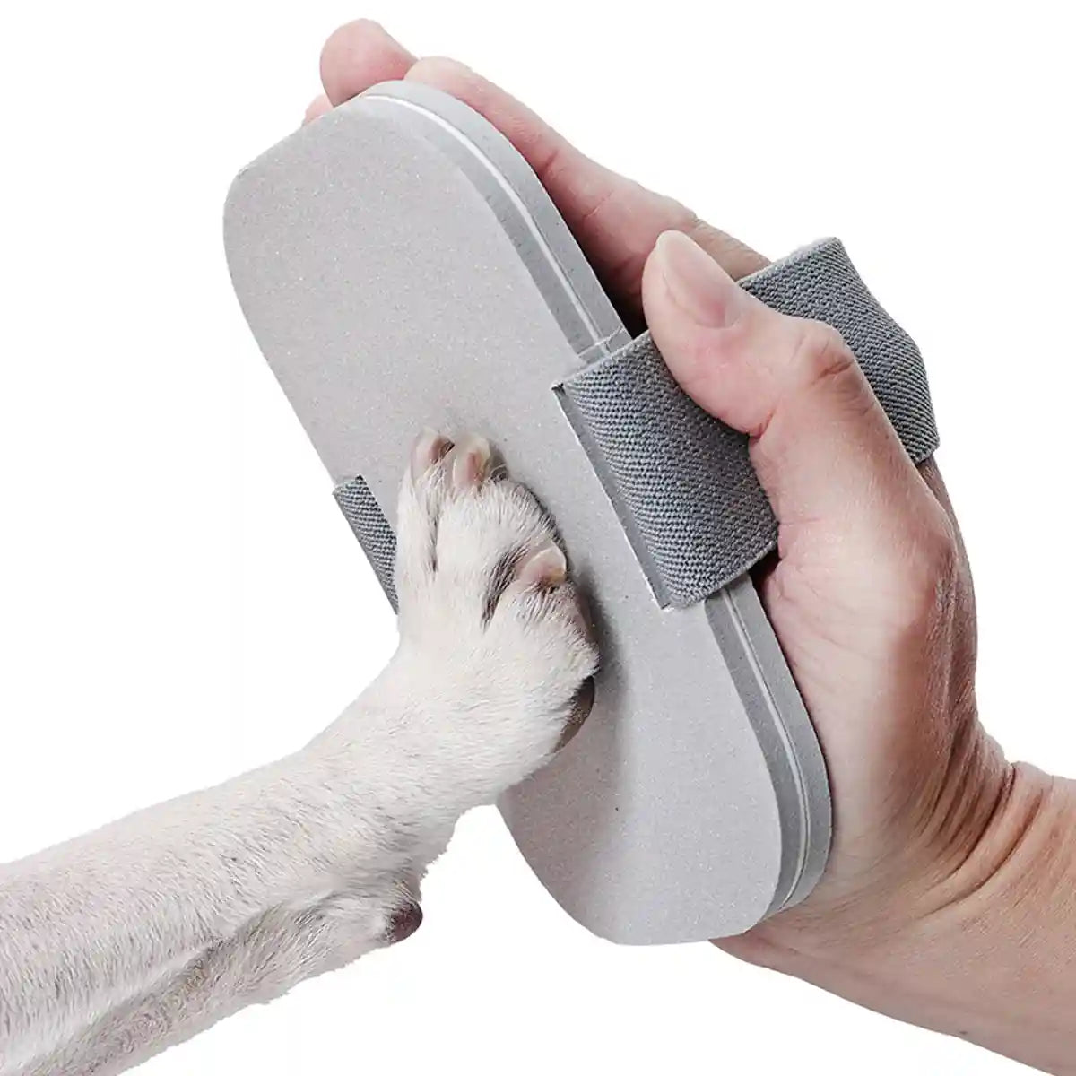 Dog Nail Scratcher Pet Paw Grinding Board for Easy Nail Trimming