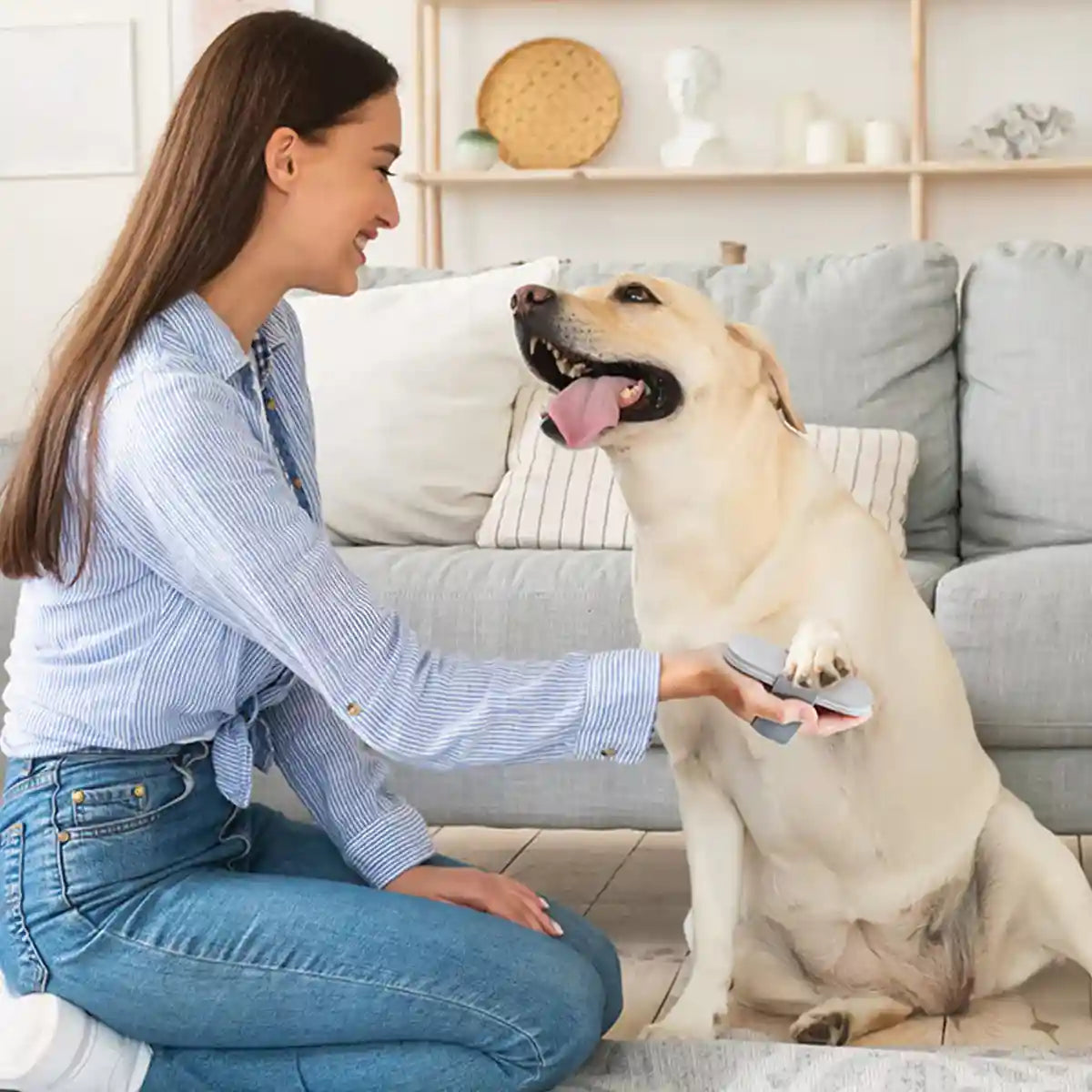 Dog Nail Scratcher Pet Paw Grinding Board for Easy Nail Trimming
