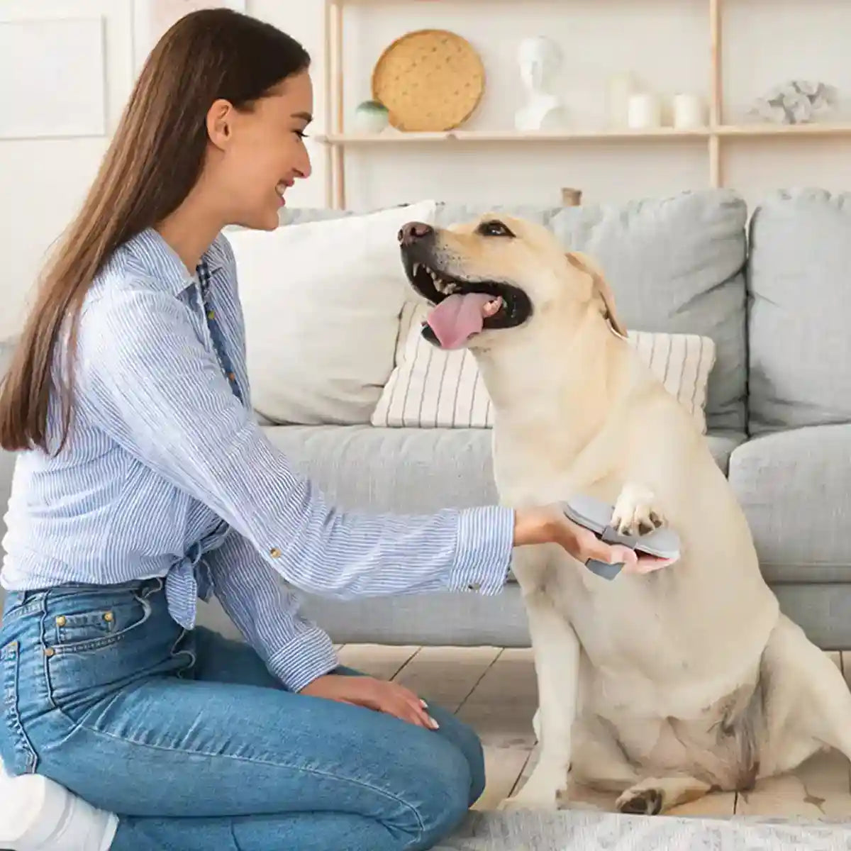 Dog Nail Scratcher Pet Paw Grinding Board for Easy Nail Trimming
