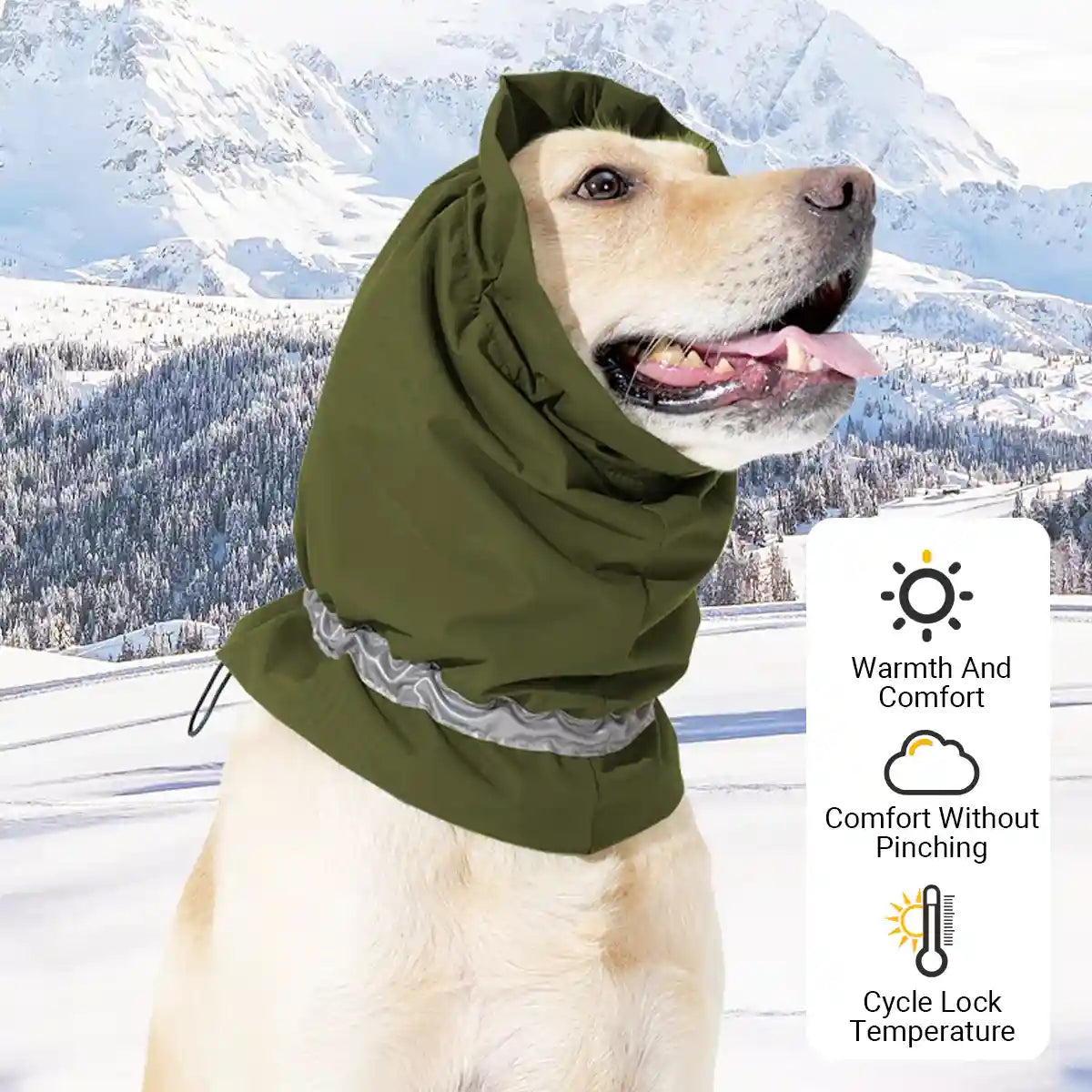Dog Head Cover And Scarf Set Winter Warmth & Stress Relief Gear
