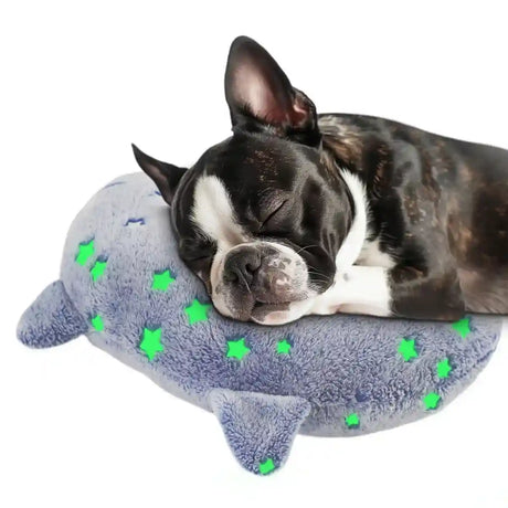 Glow in the dark dog pillow with star pattern for neck support