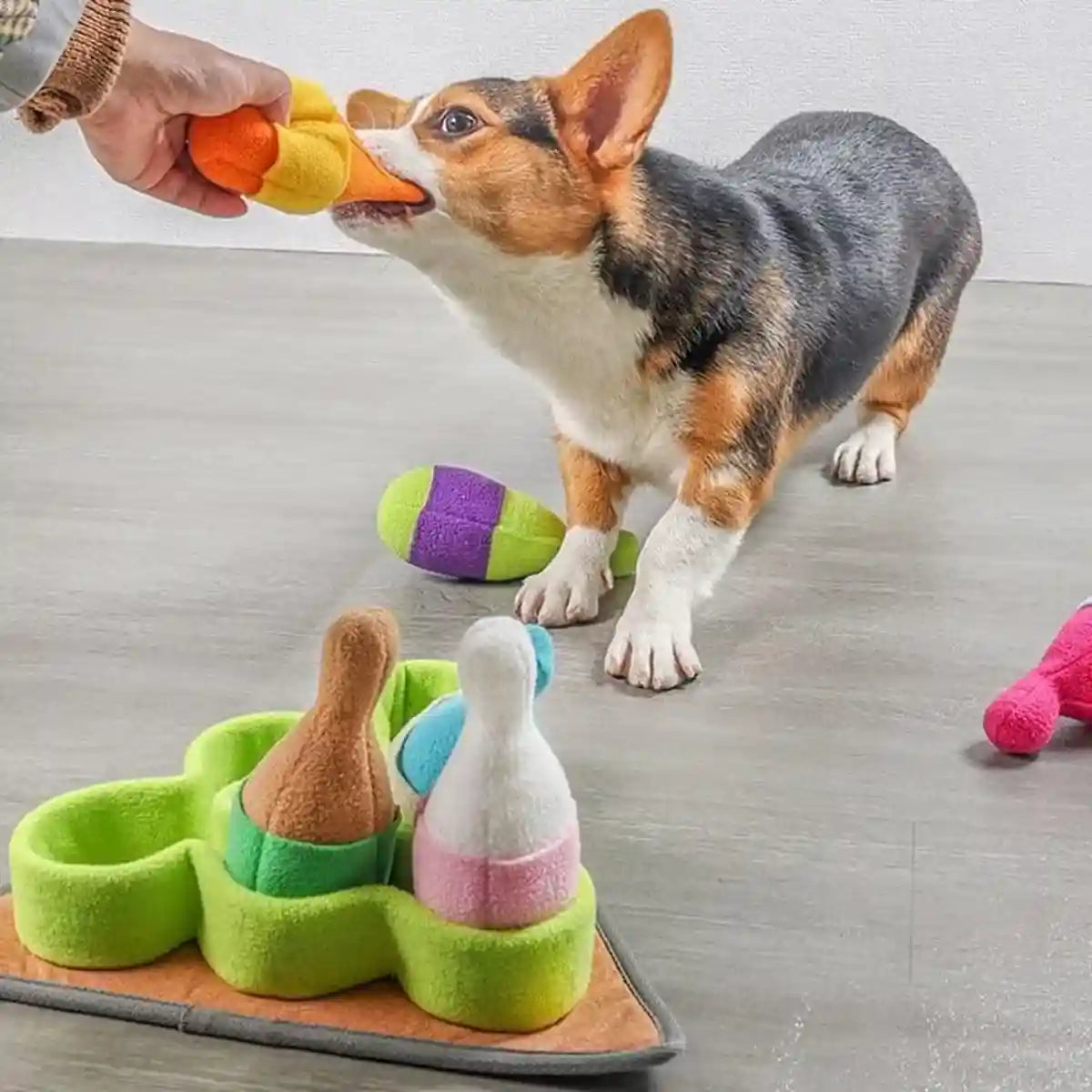 Dog Toys Interactive Pet Puzzle Toy