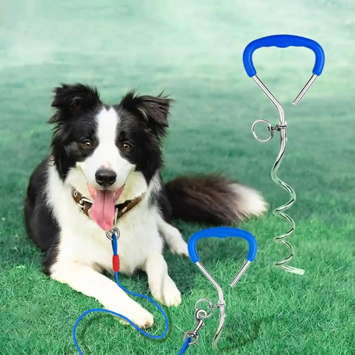 Dog Tie Out Stake Kit for Outdoor Tethering | 10m Cable + Bag