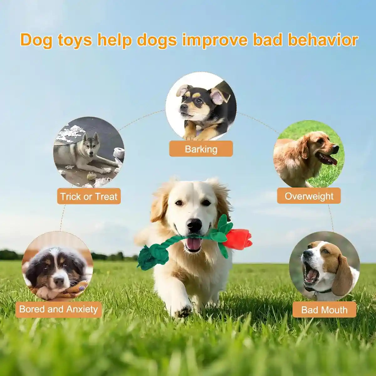 Rose Plush Dog Toy Cotton Rope Sound Paper Bite Resistant Interactive Pet Supply