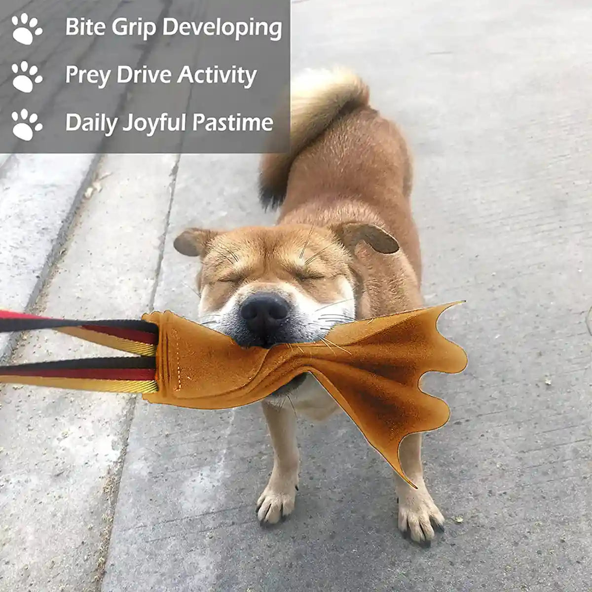 Leather Dog Bite Rag with Nylon Handle for Training Large Breeds