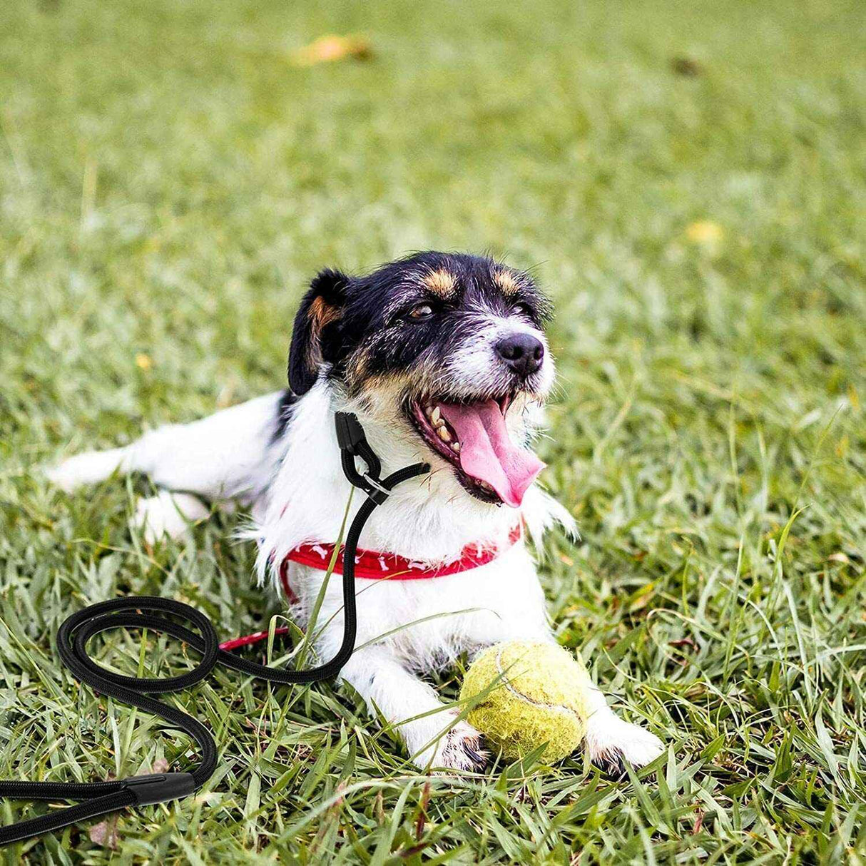 Dog Training Correction Leash Brown