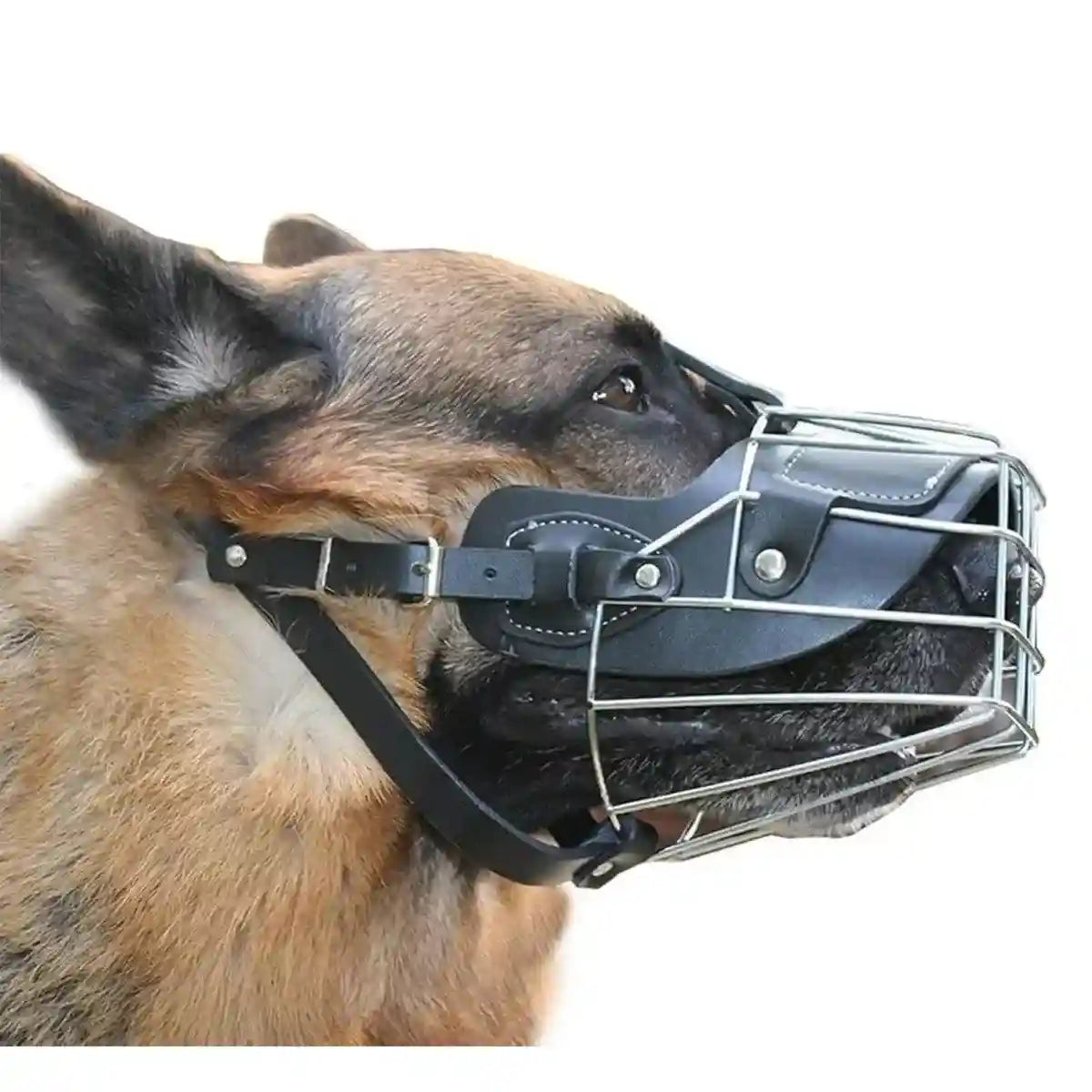 Durable Dog Mouth Guard with Stainless Steel Basket & Adjustable Straps