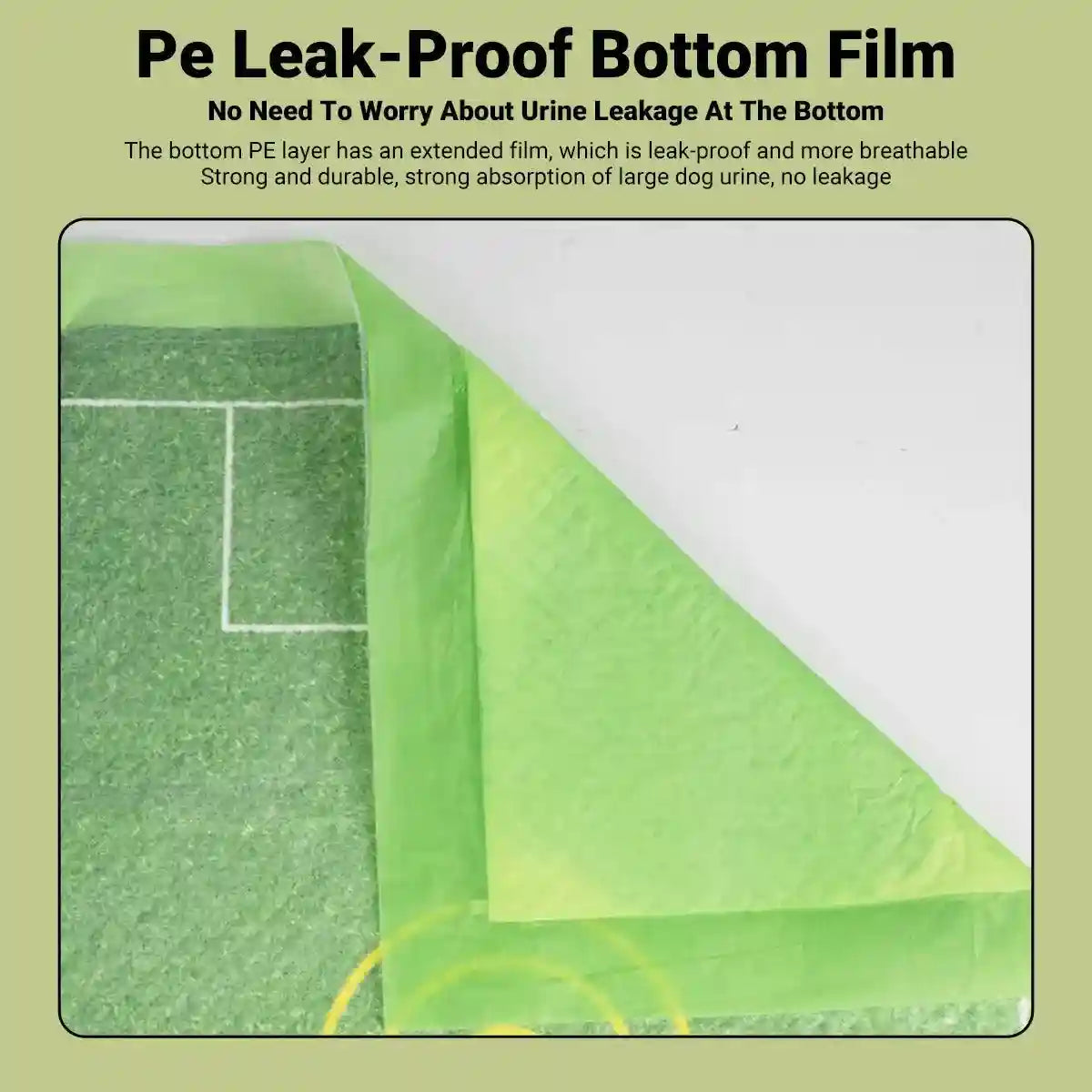 Dog Training Urinary Pads Fast Absorption & Leak-Proof