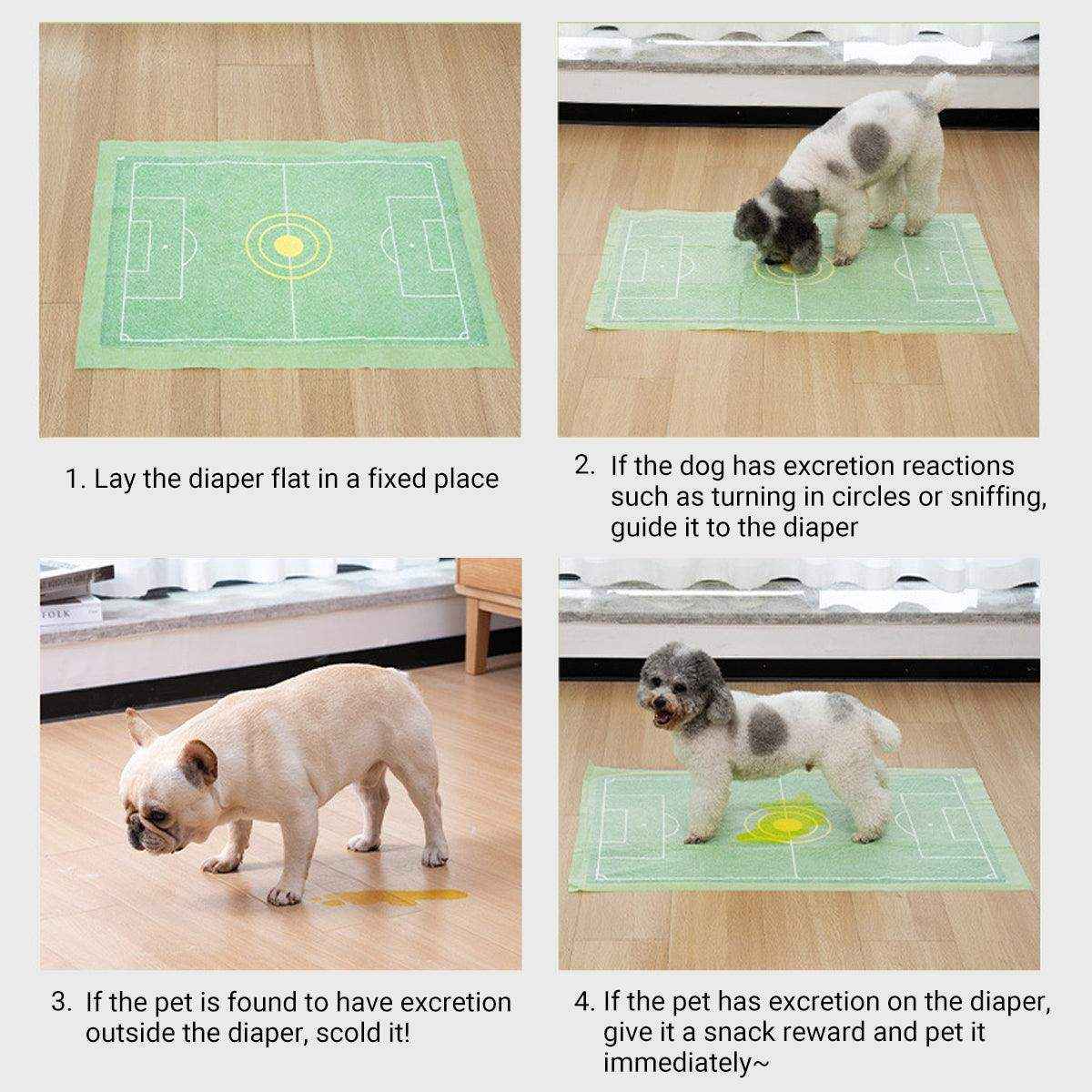 Dog Training Urinary Pads Fast Absorption & Leak-Proof