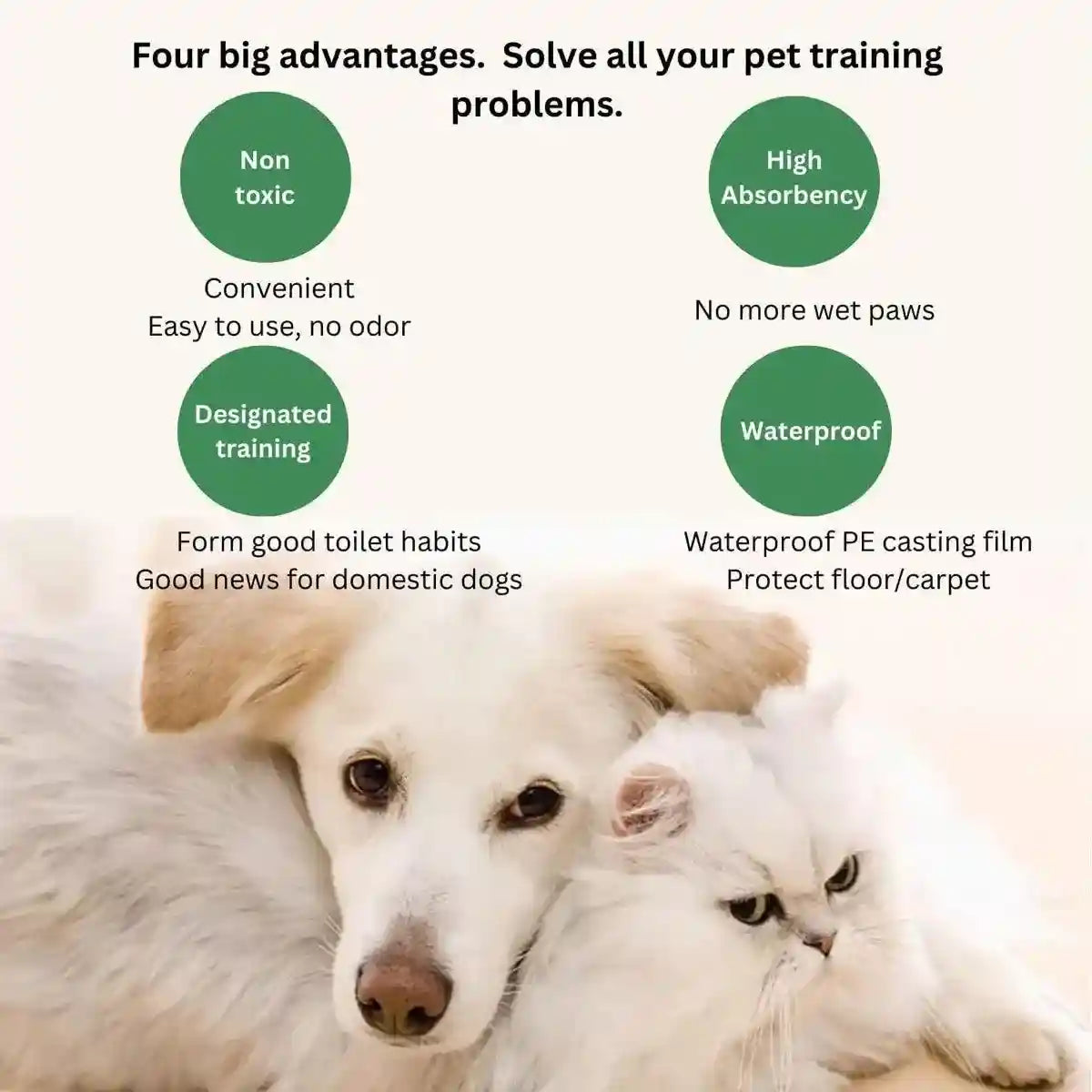 Dog Training Urinary Pads Fast Absorption & Leak-Proof